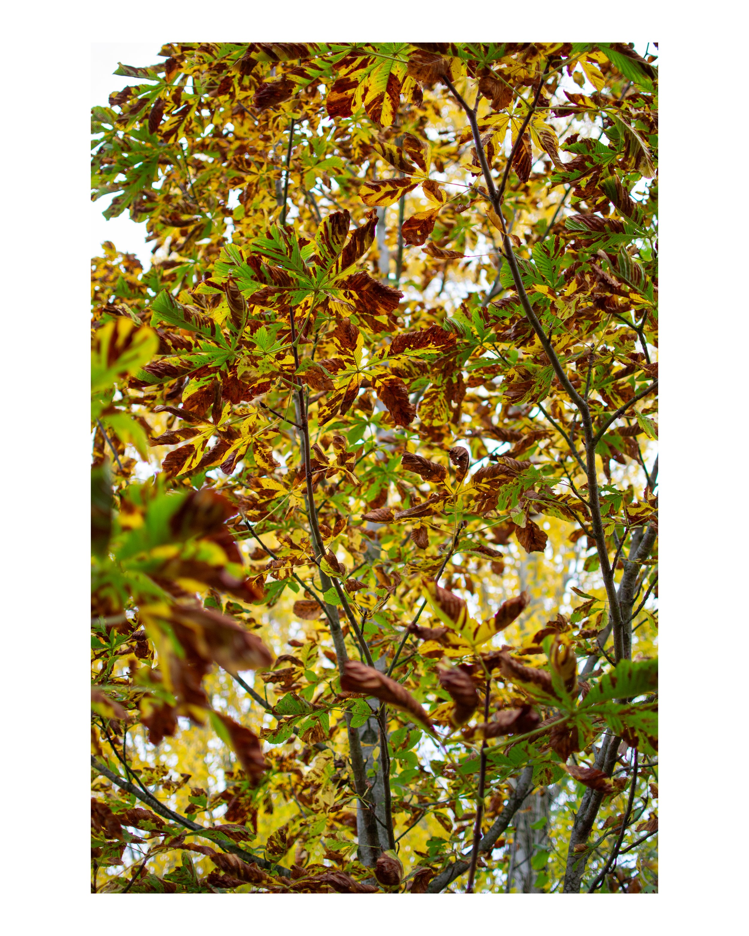 DSC_0057.jpg