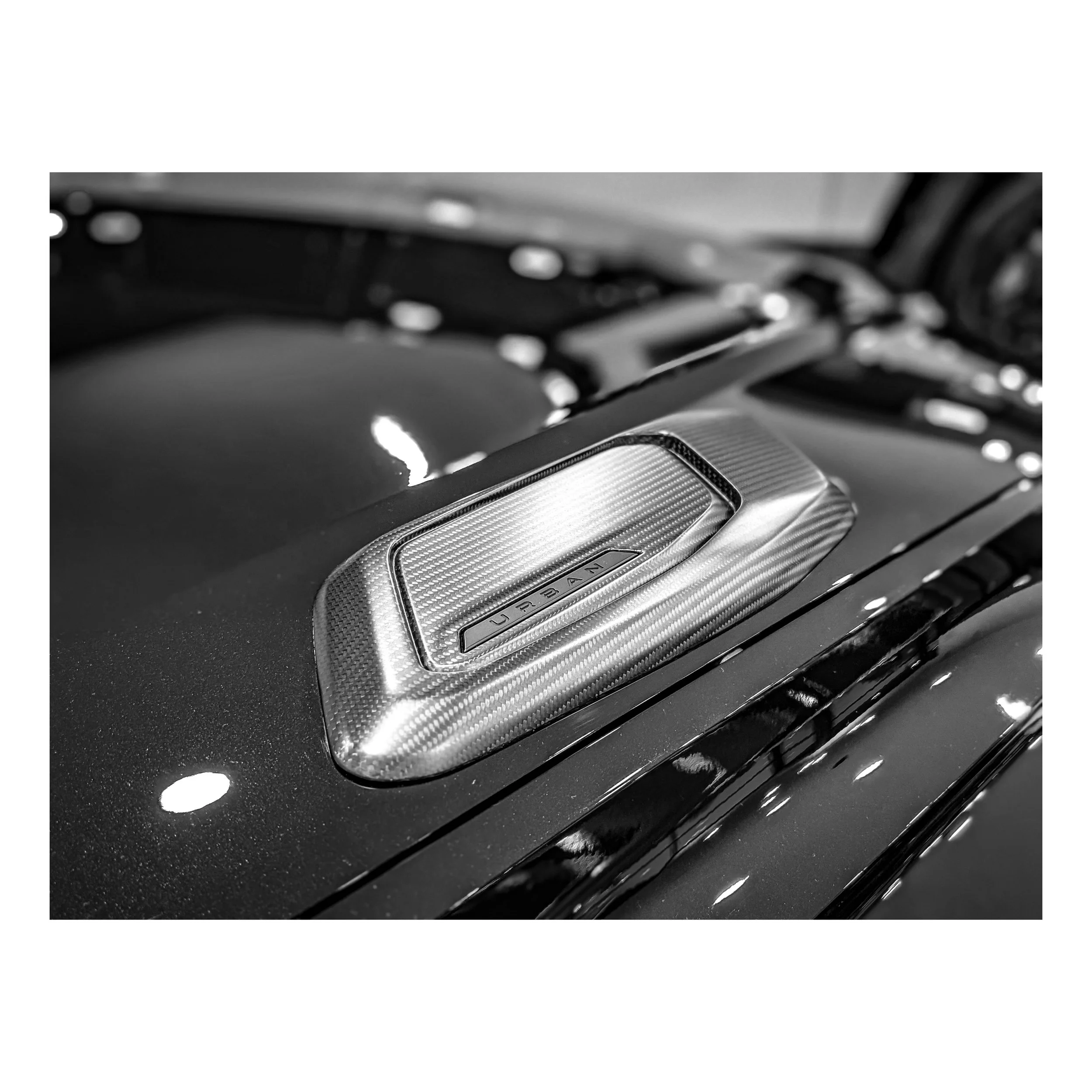 PXL_20251213_155705200.PORTRAIT (1).jpg