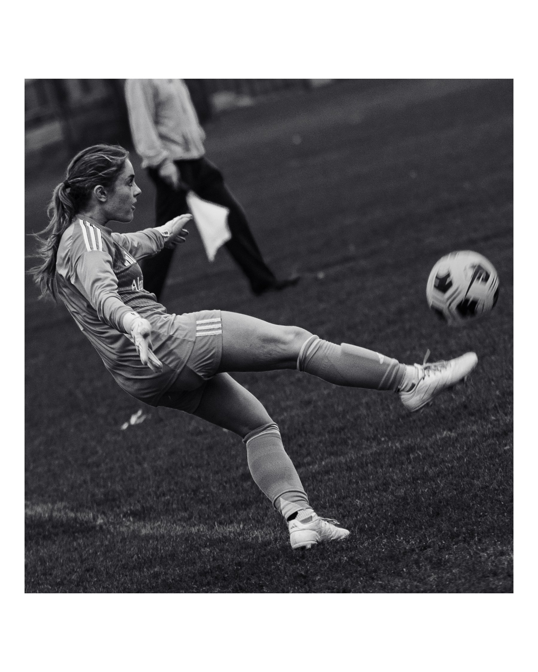 DSC_0041.jpg