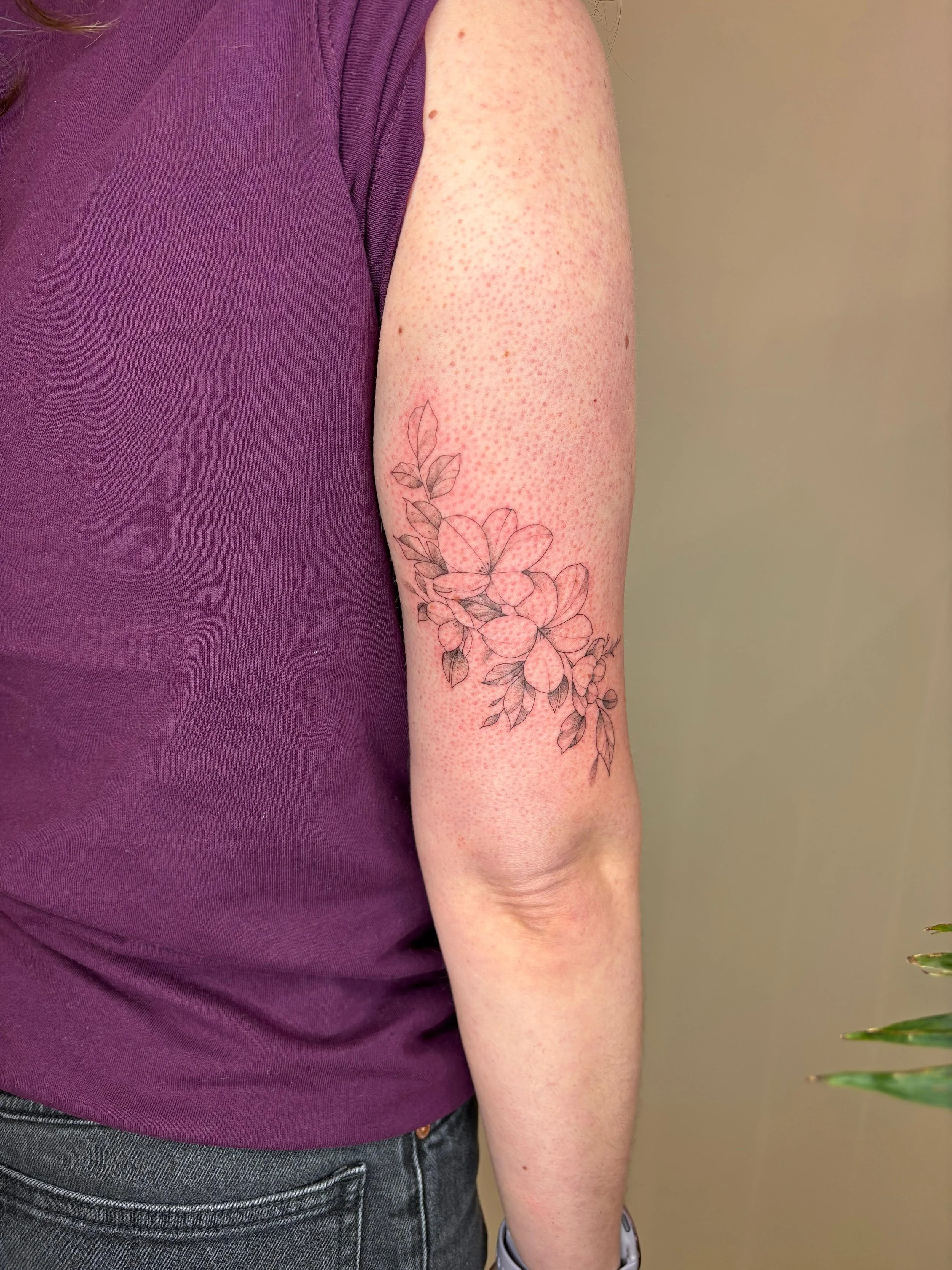 WhatsApp Image 2025-08-17 at 13.36.30.jpeg