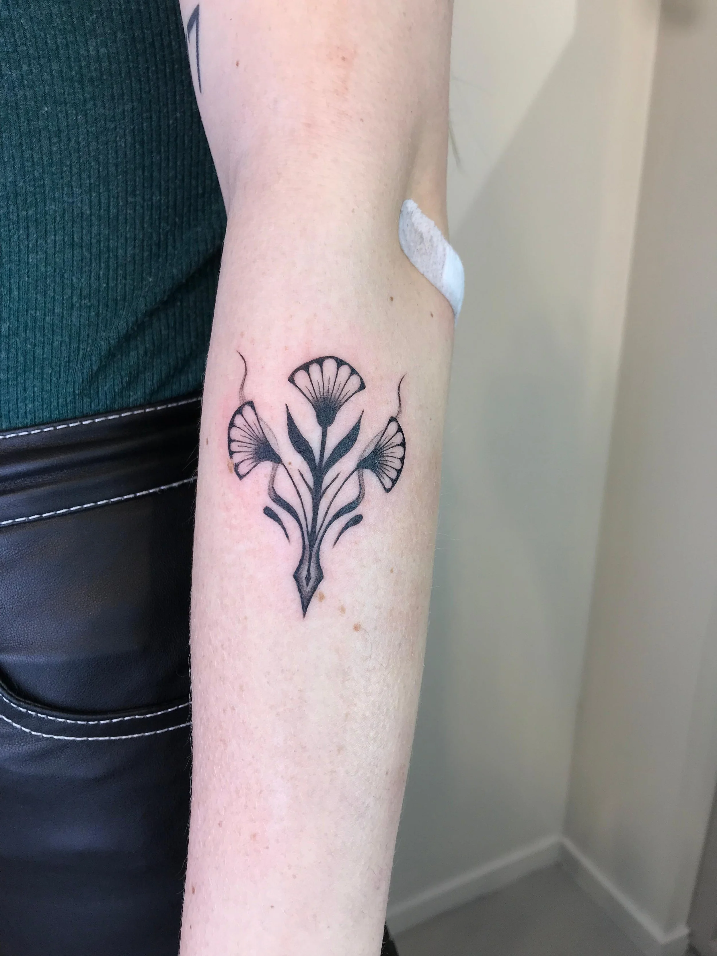 WhatsApp Image 2025-08-17 at 13.50.45.jpeg