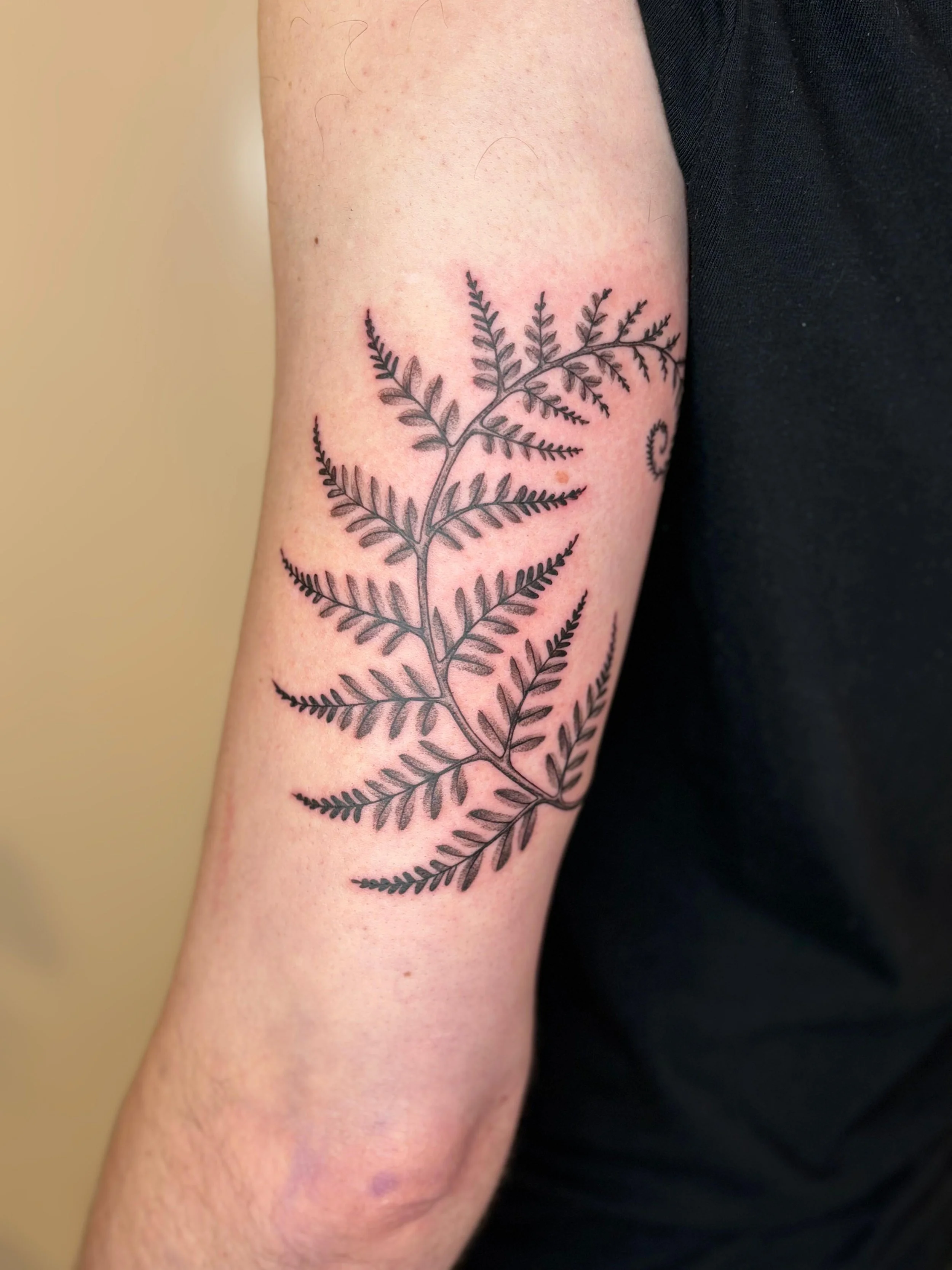 WhatsApp Image 2025-08-17 at 14.03.32 (5).jpeg