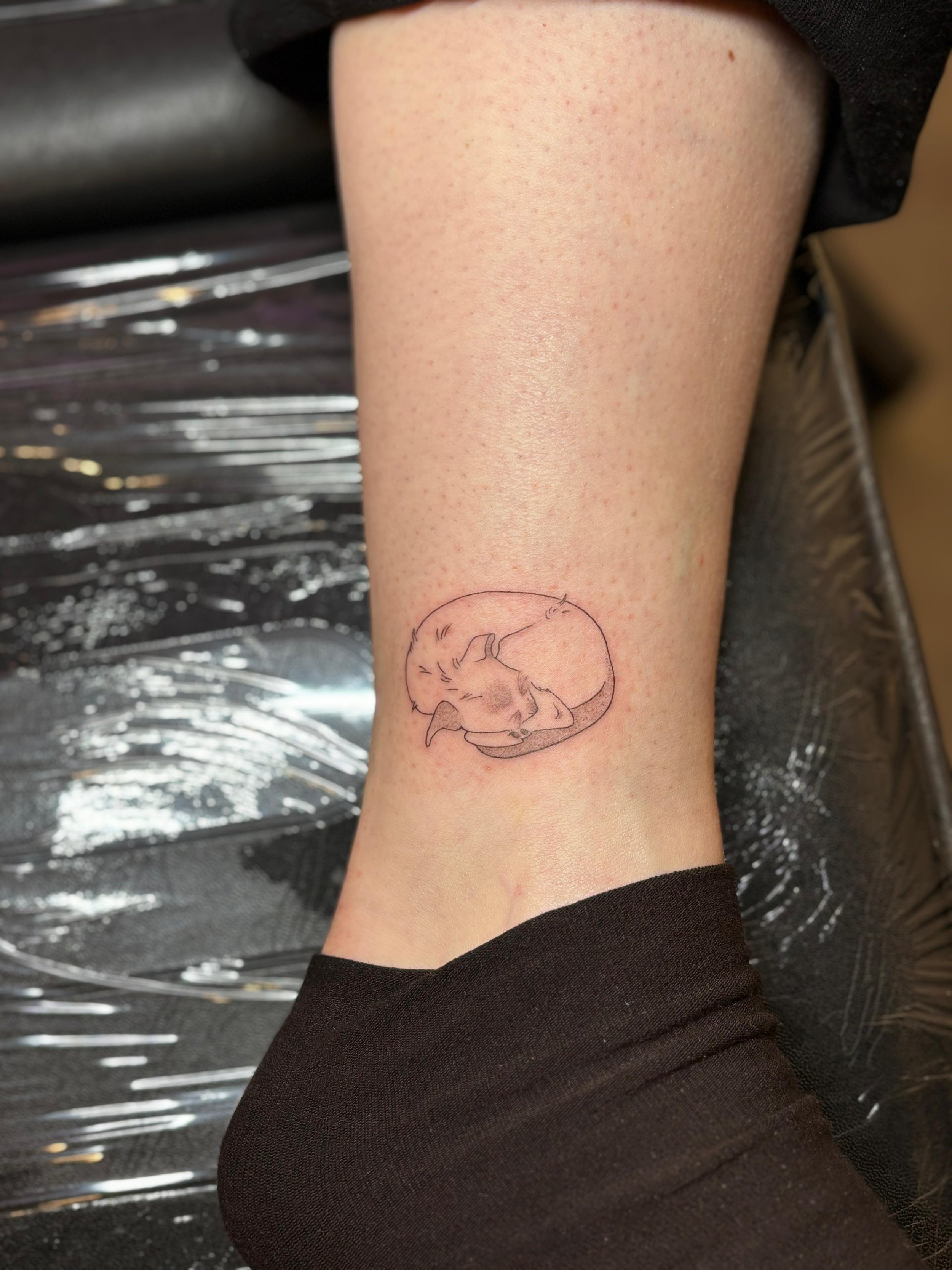 WhatsApp Image 2025-08-17 at 13.44.01 (2).jpeg