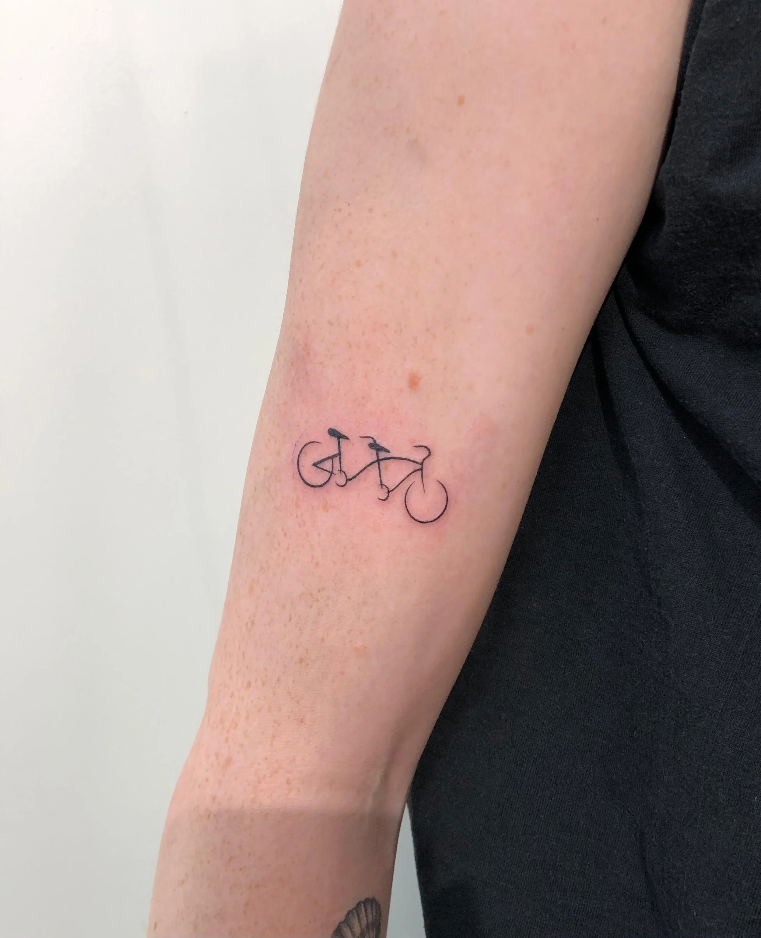 WhatsApp Image 2025-08-17 at 13.36.30 (1).jpeg