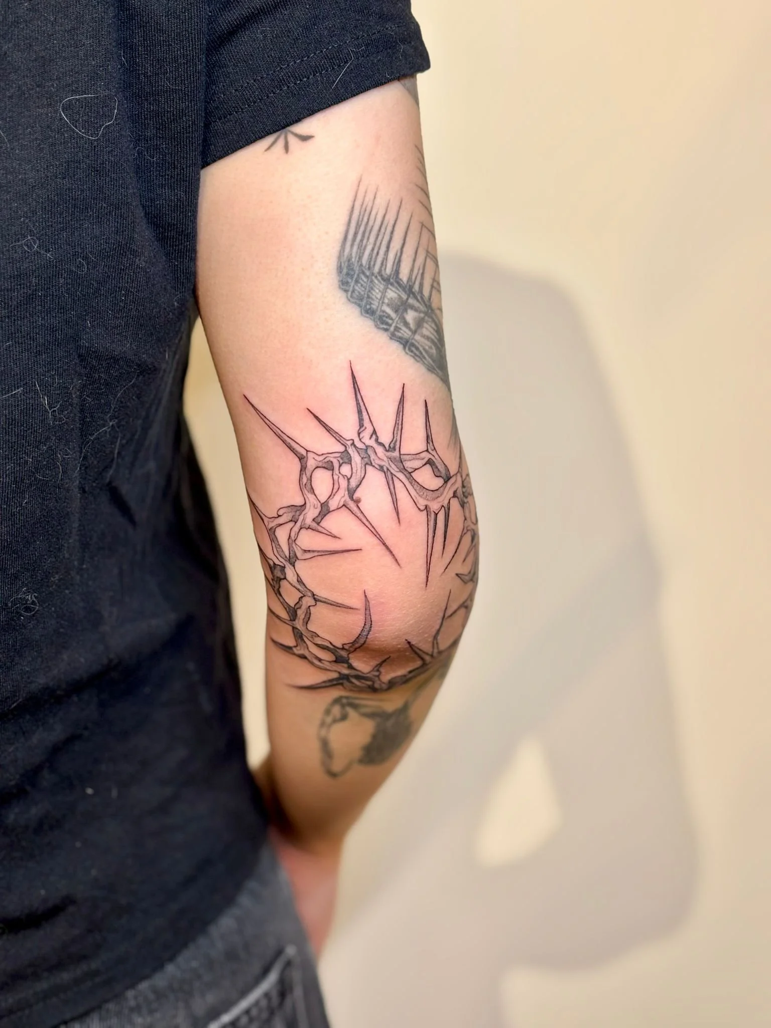 WhatsApp Image 2025-07-30 at 20.30.32.jpeg