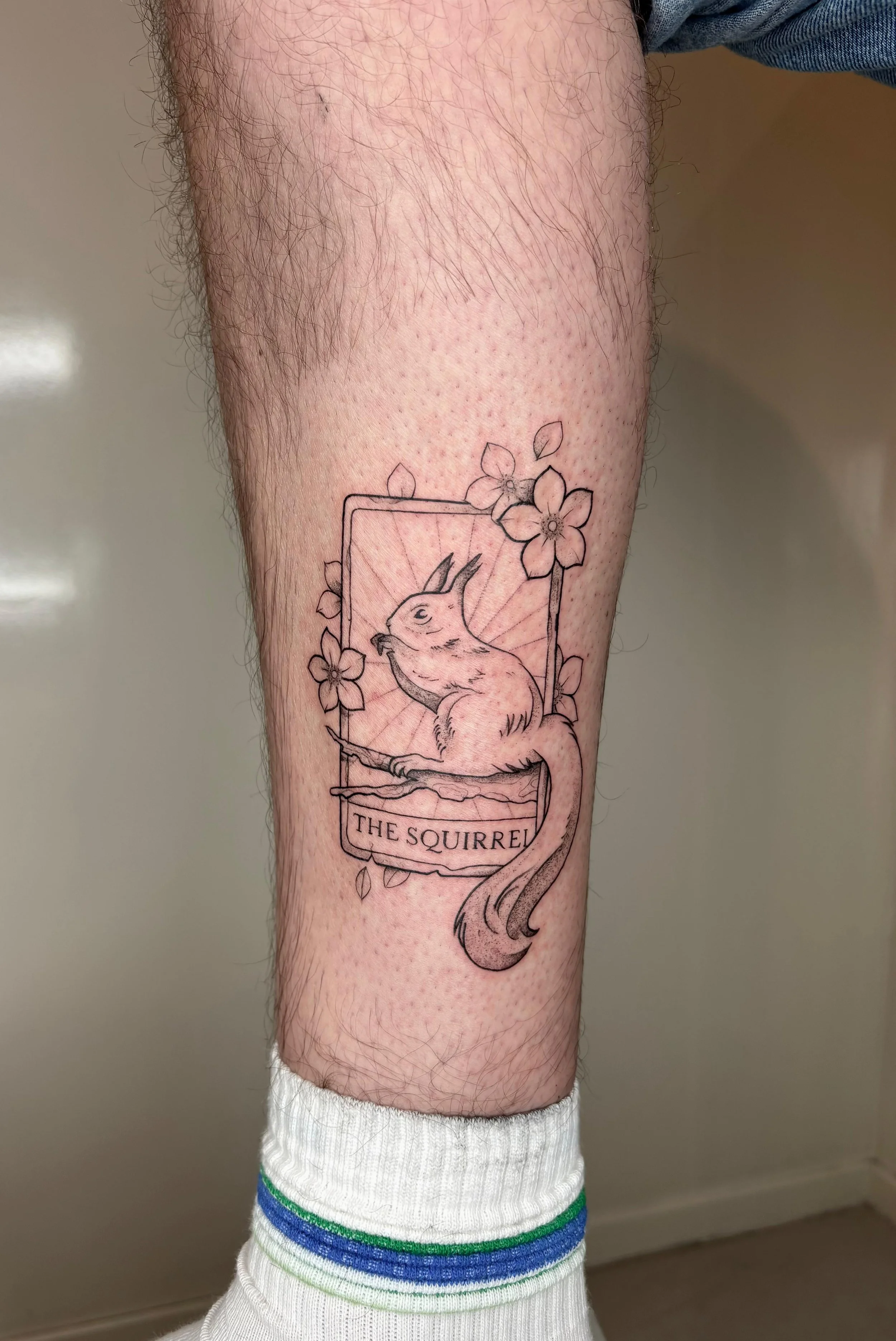 WhatsApp Image 2025-08-17 at 14.03.33.jpeg