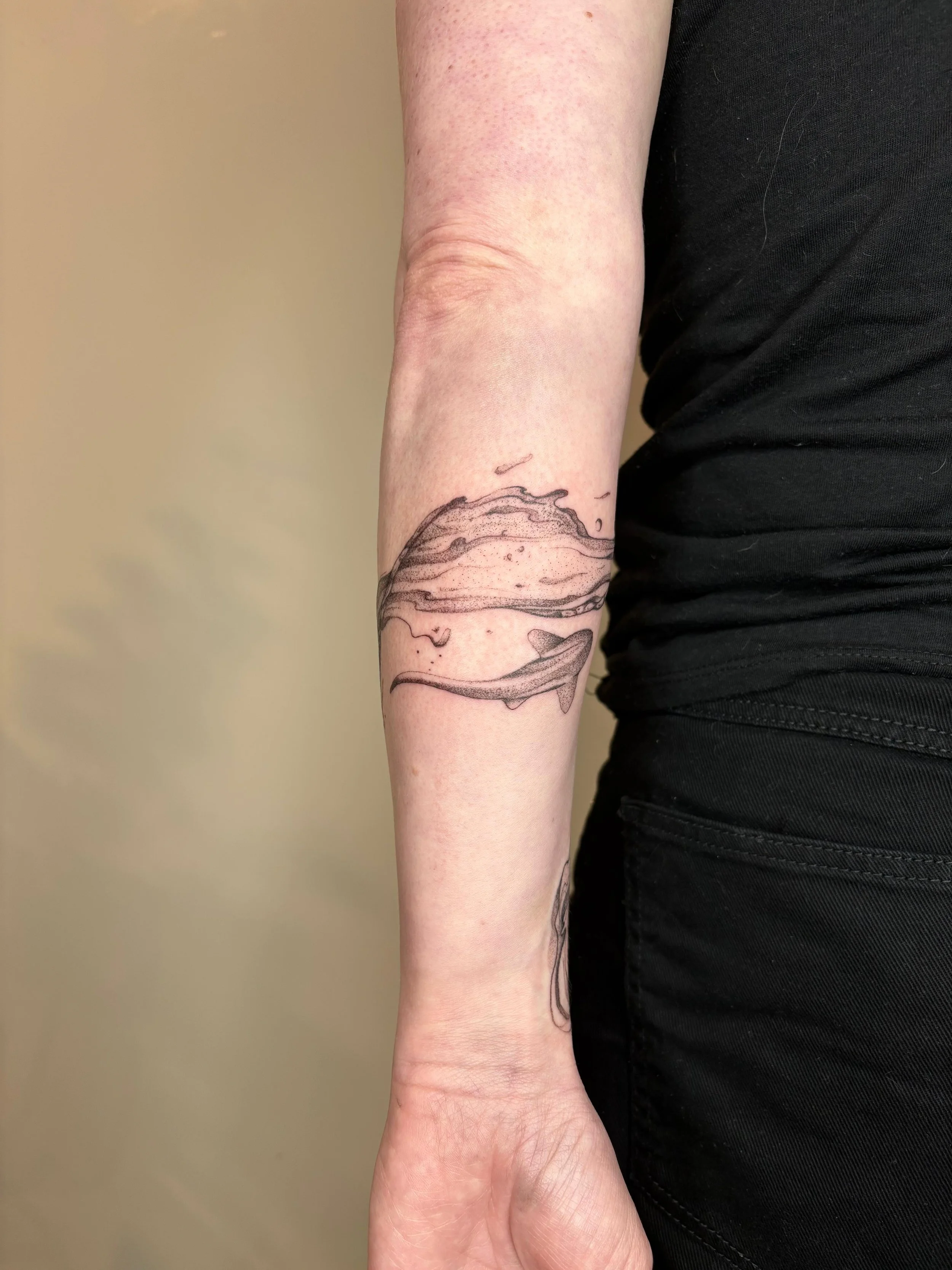 WhatsApp Image 2025-08-17 at 13.44.01.jpeg