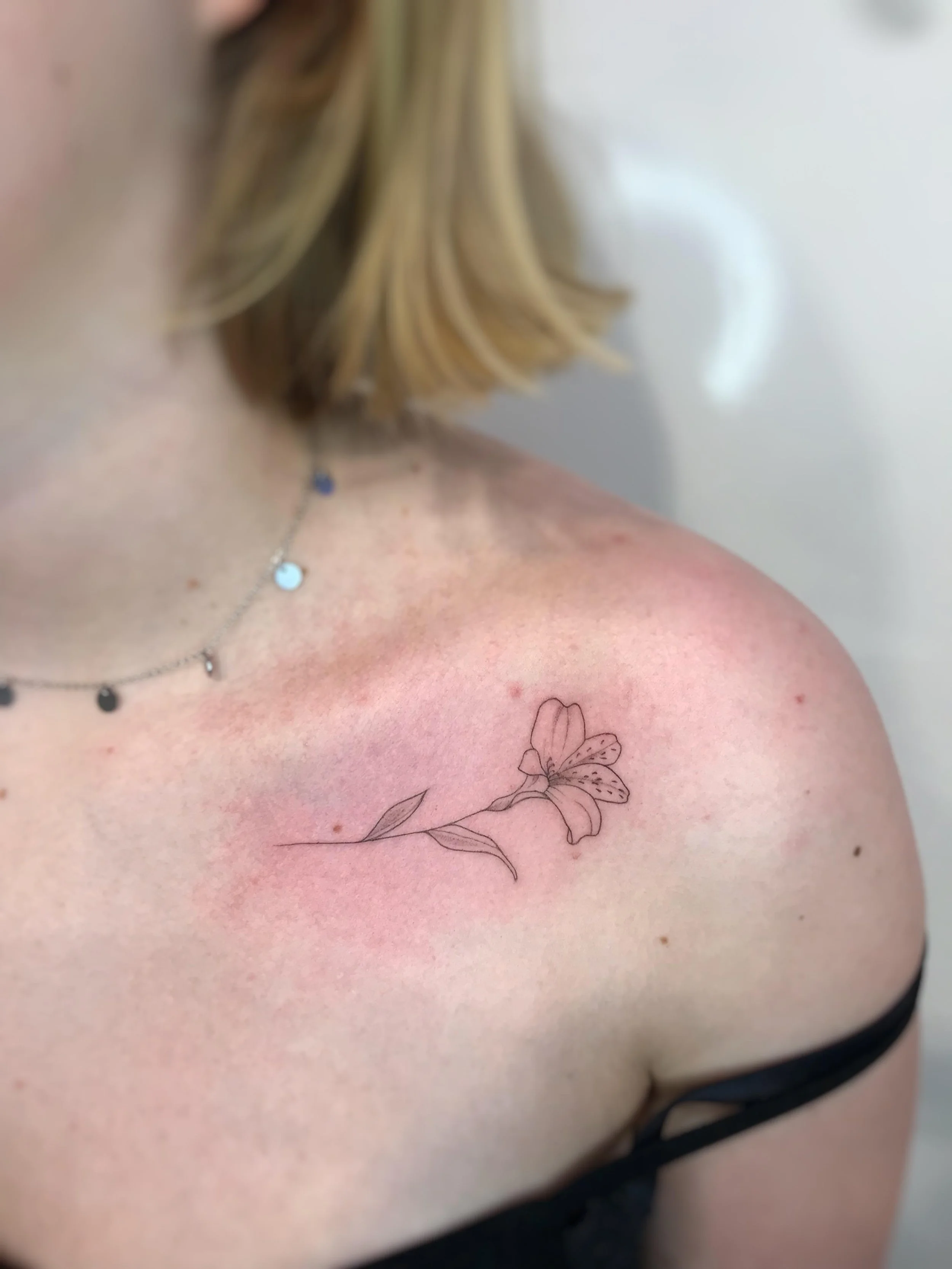 WhatsApp Image 2025-08-17 at 18.25.20 (1).jpeg