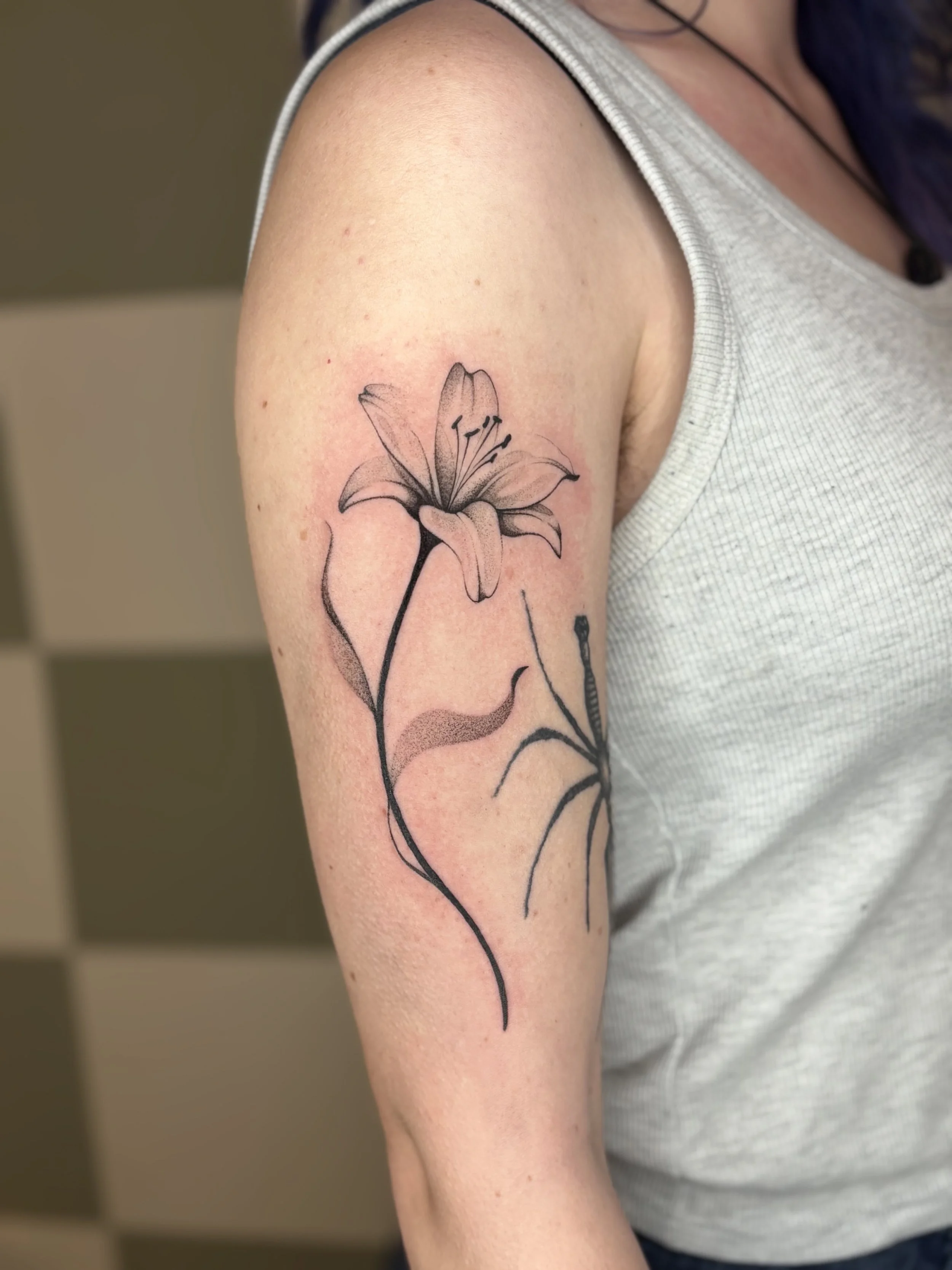image00014.jpeg