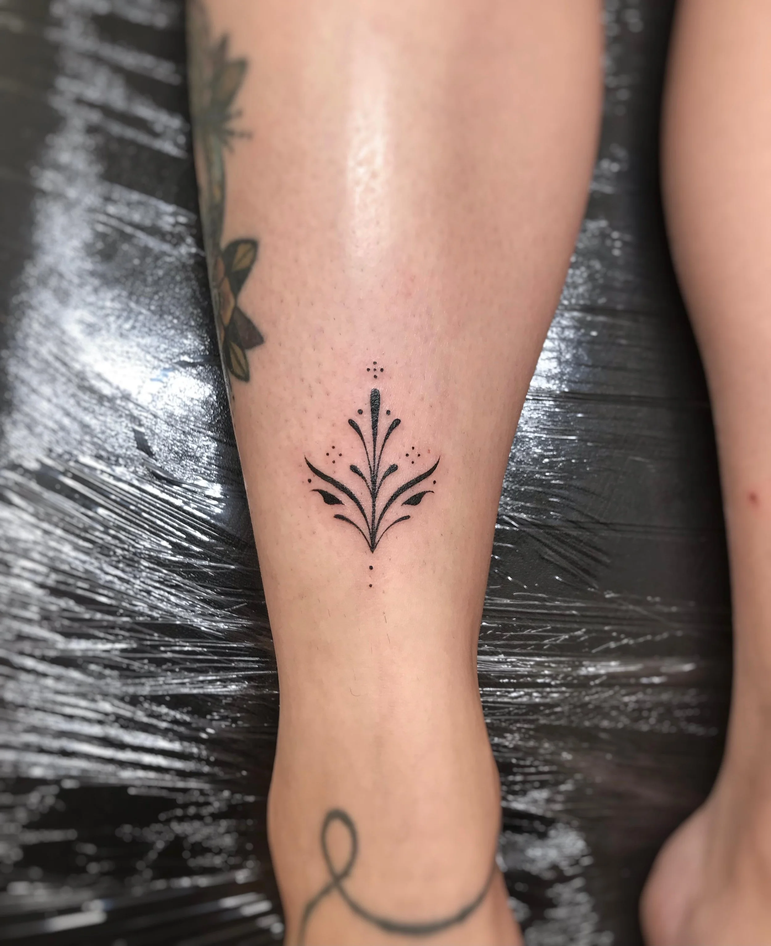 WhatsApp Image 2025-08-17 at 13.50.29.jpeg