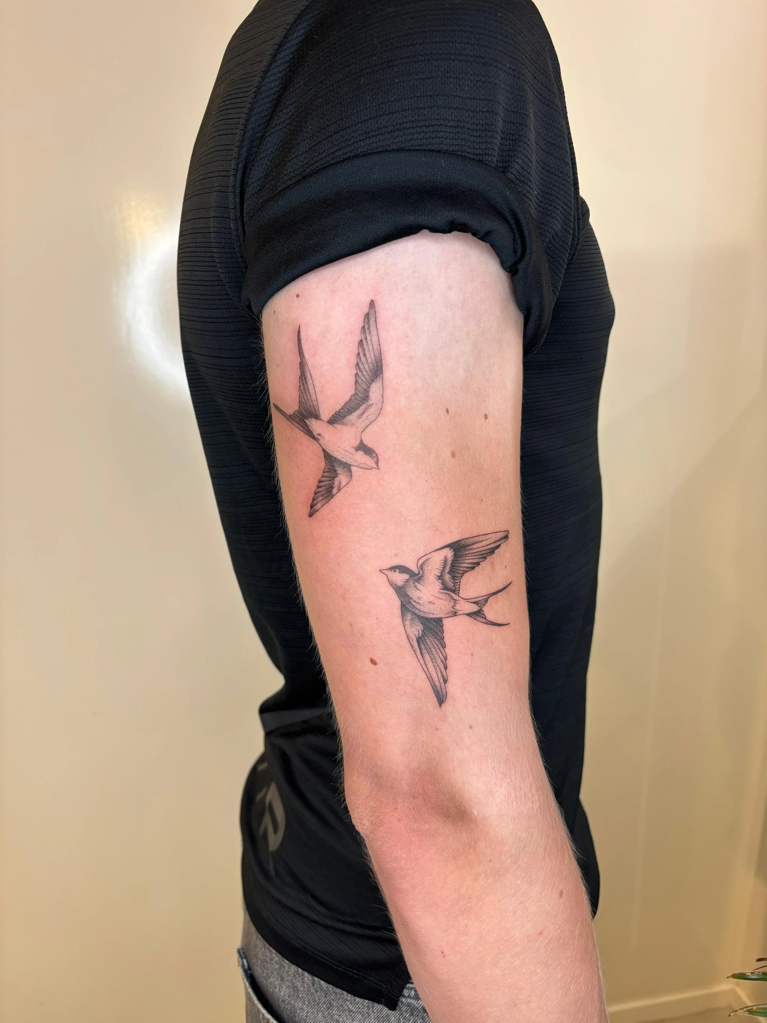 WhatsApp Image 2025-08-17 at 13.43.53.jpeg