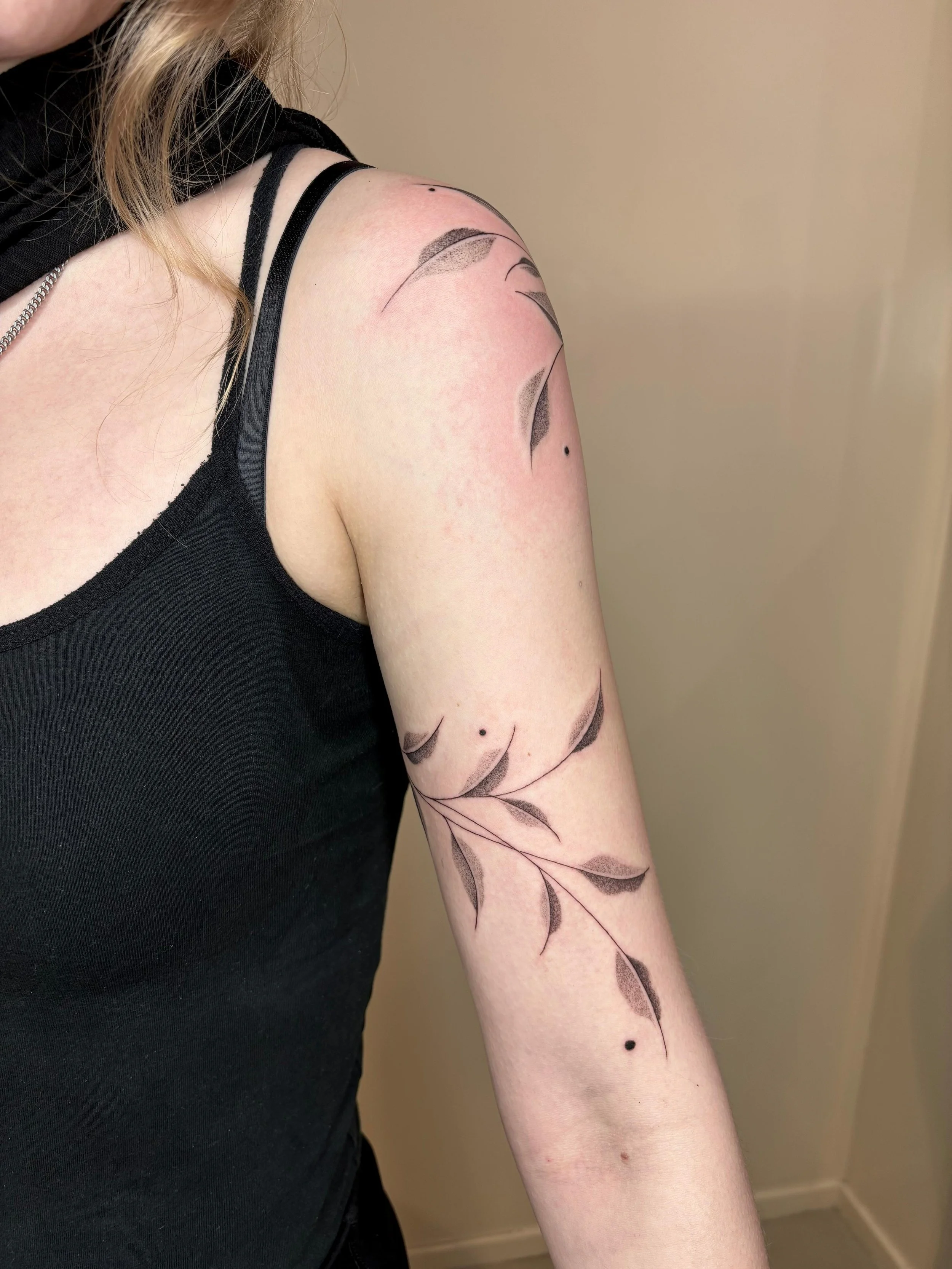 WhatsApp Image 2025-08-17 at 18.25.19.jpeg