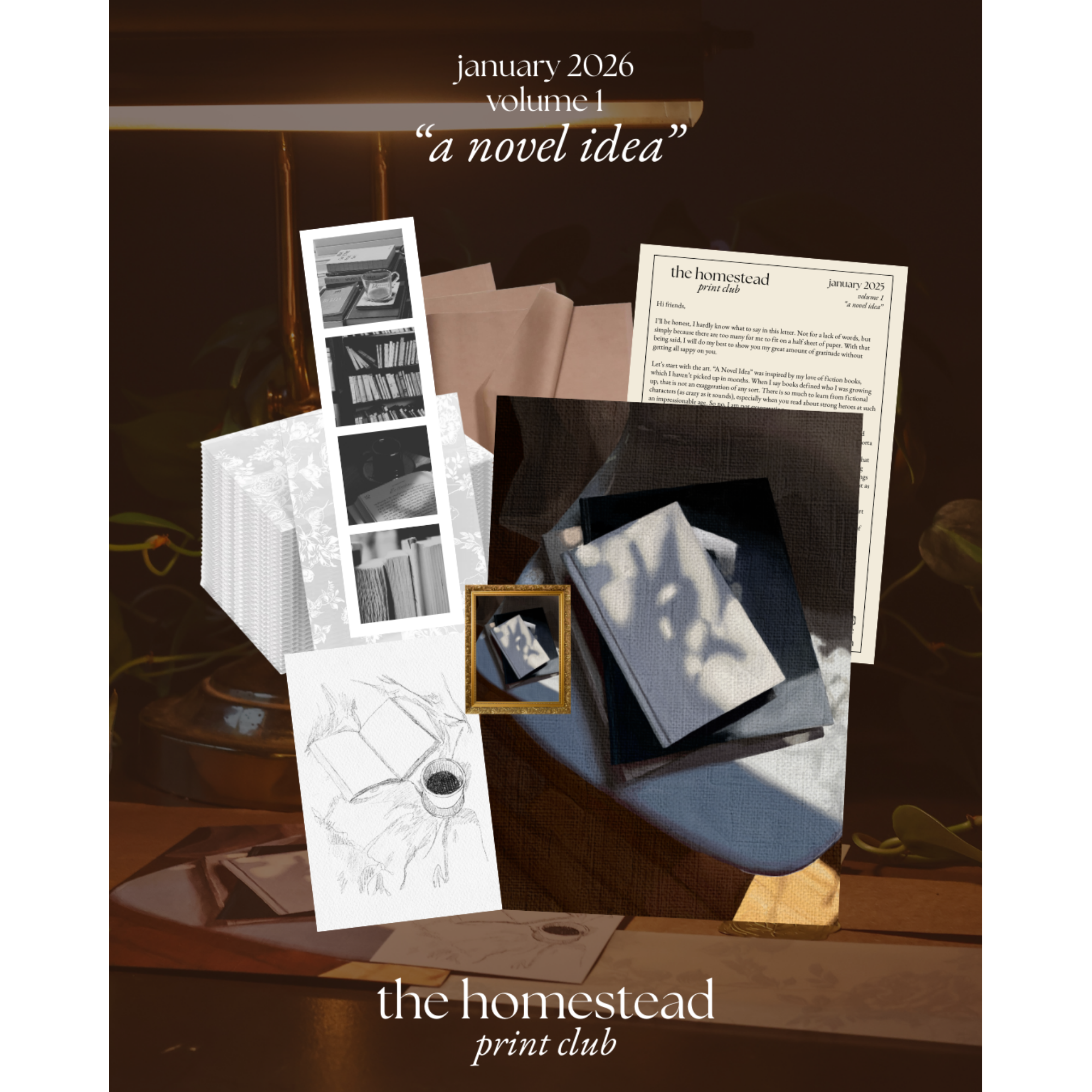 Volume 1: "a novel idea"