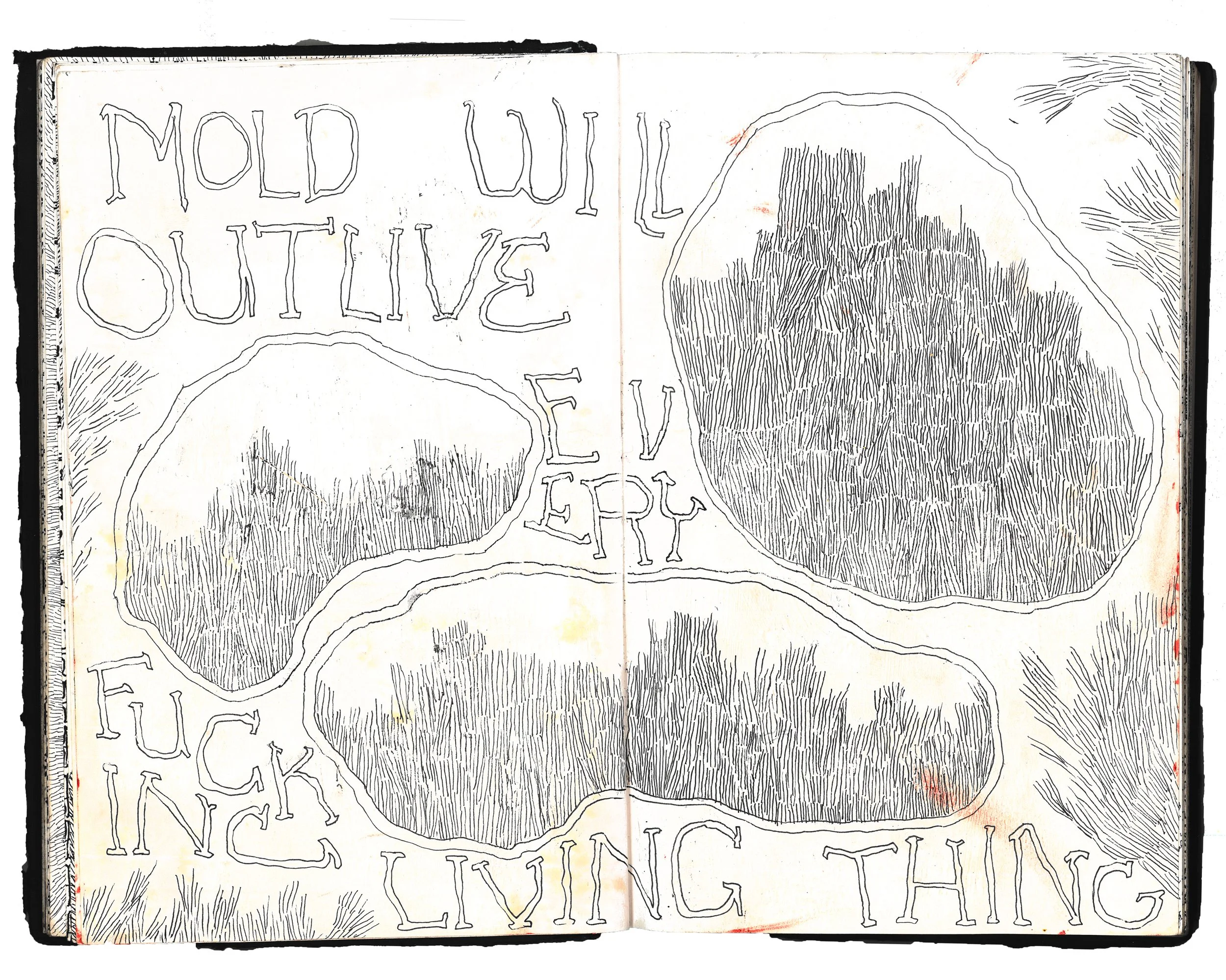 "Mold Will Outlive Every Fucking Living Thing" 2025 Ink and Acrylic on Paper 8.5 x 11 in