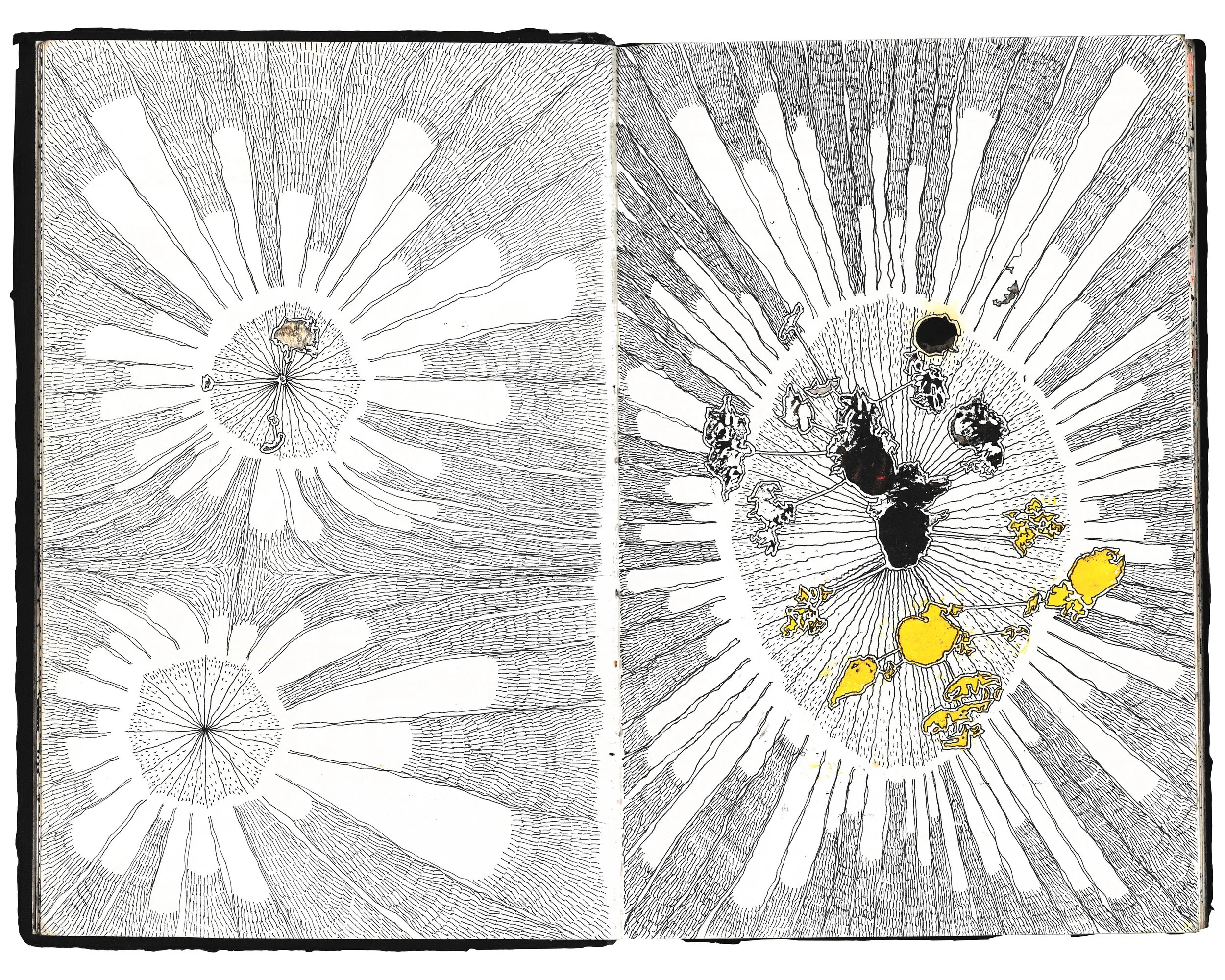 "Petunias" 2024 Ink and Acrylic on Paper 8.5 x 11 in