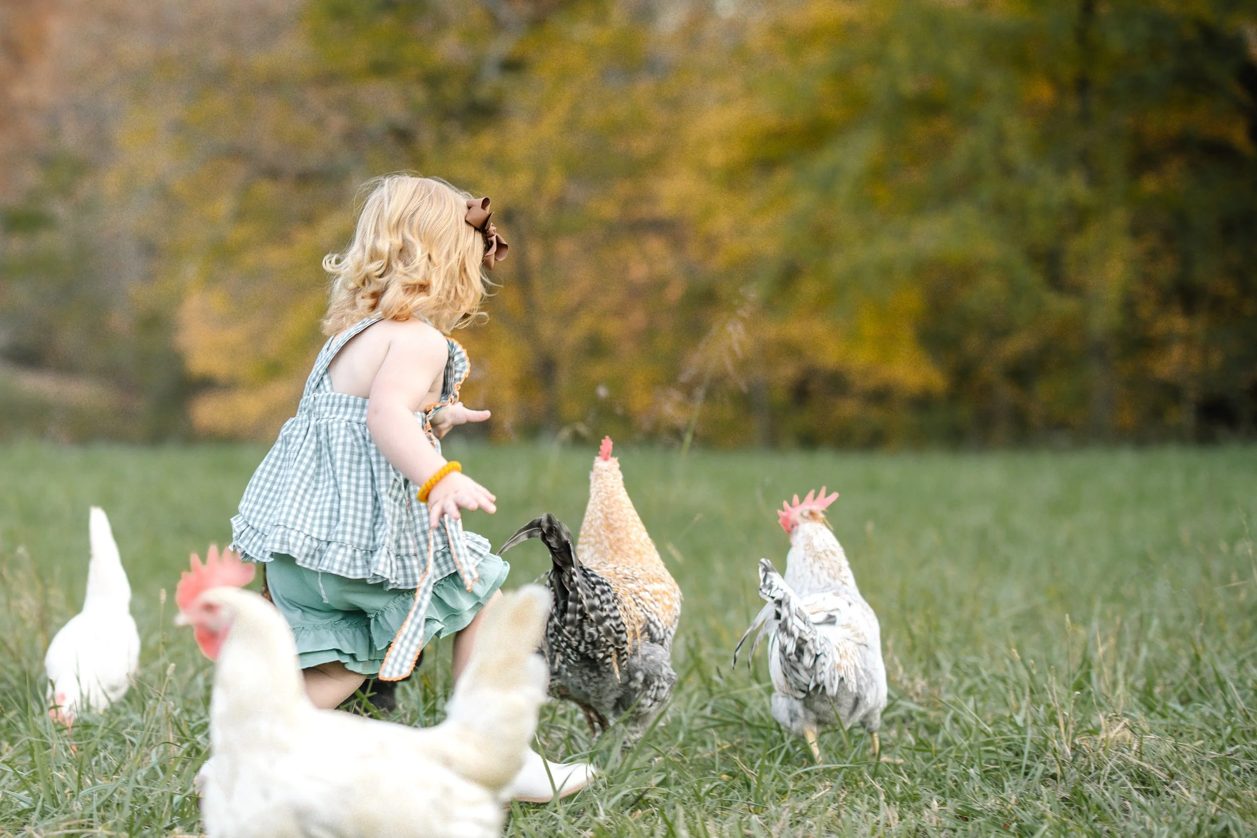 Farm School children learning about chickens on the farm