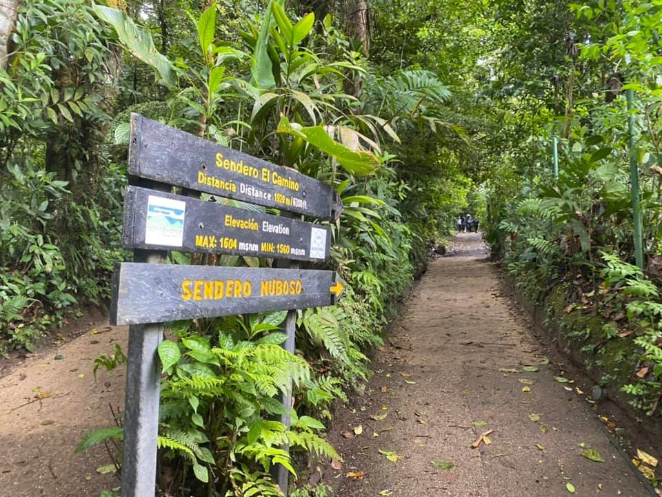 Forest trail with Spanish directional signs surrounded by lush vegetation in Monteverde, Costa Rica.