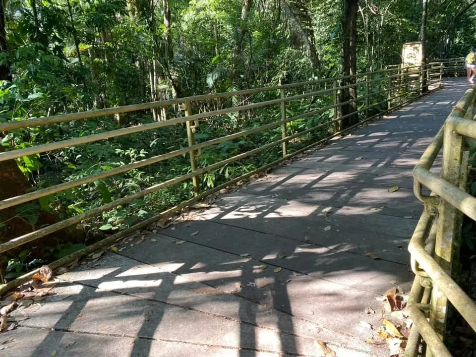 A wide raised boardwalk with wooden railings winding through dense tropical rainforest in Manuel Antonio National Park, Costa Rica.