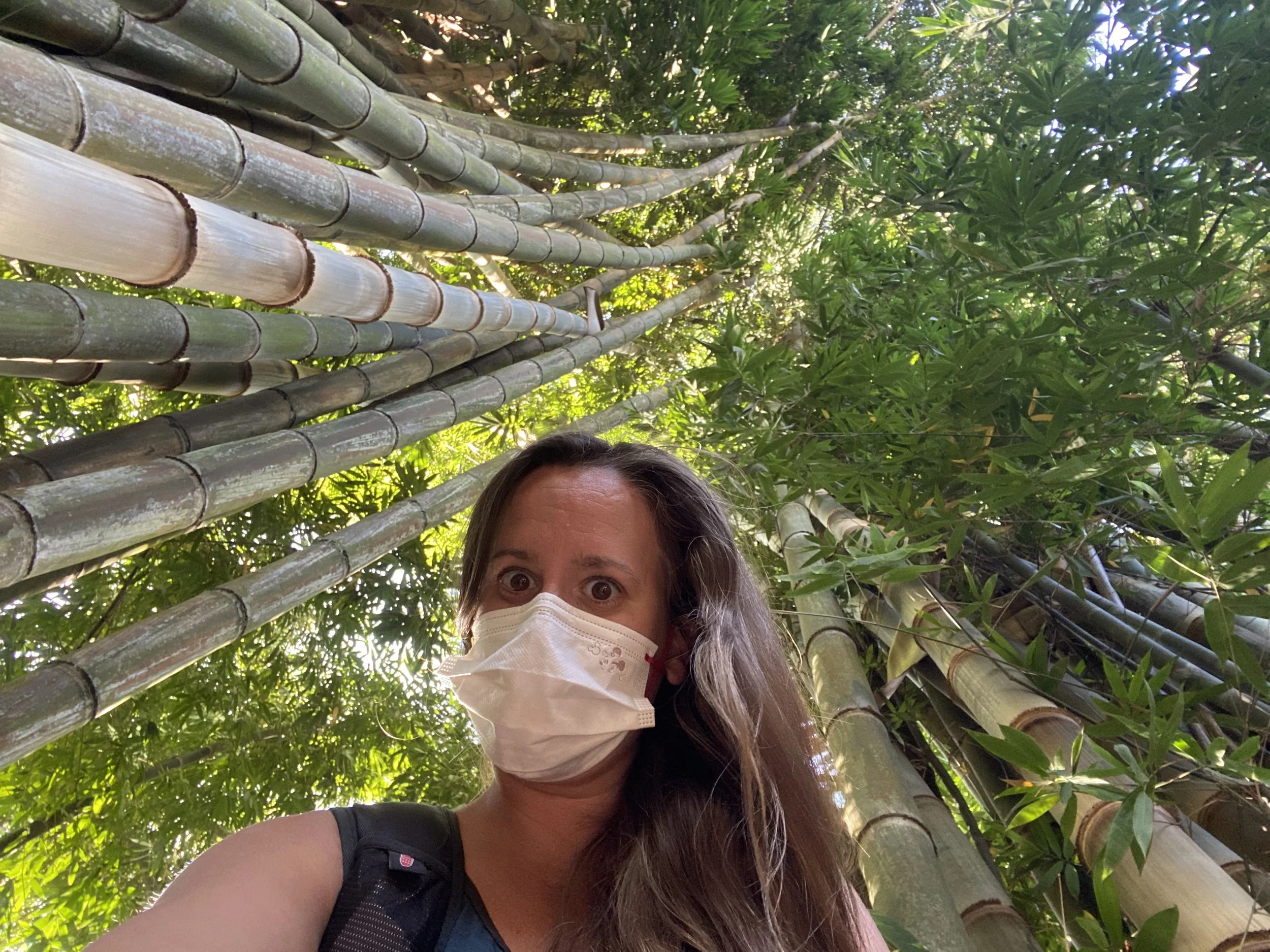 Final Days in El Salvador: Back to the Capital, San Salvador