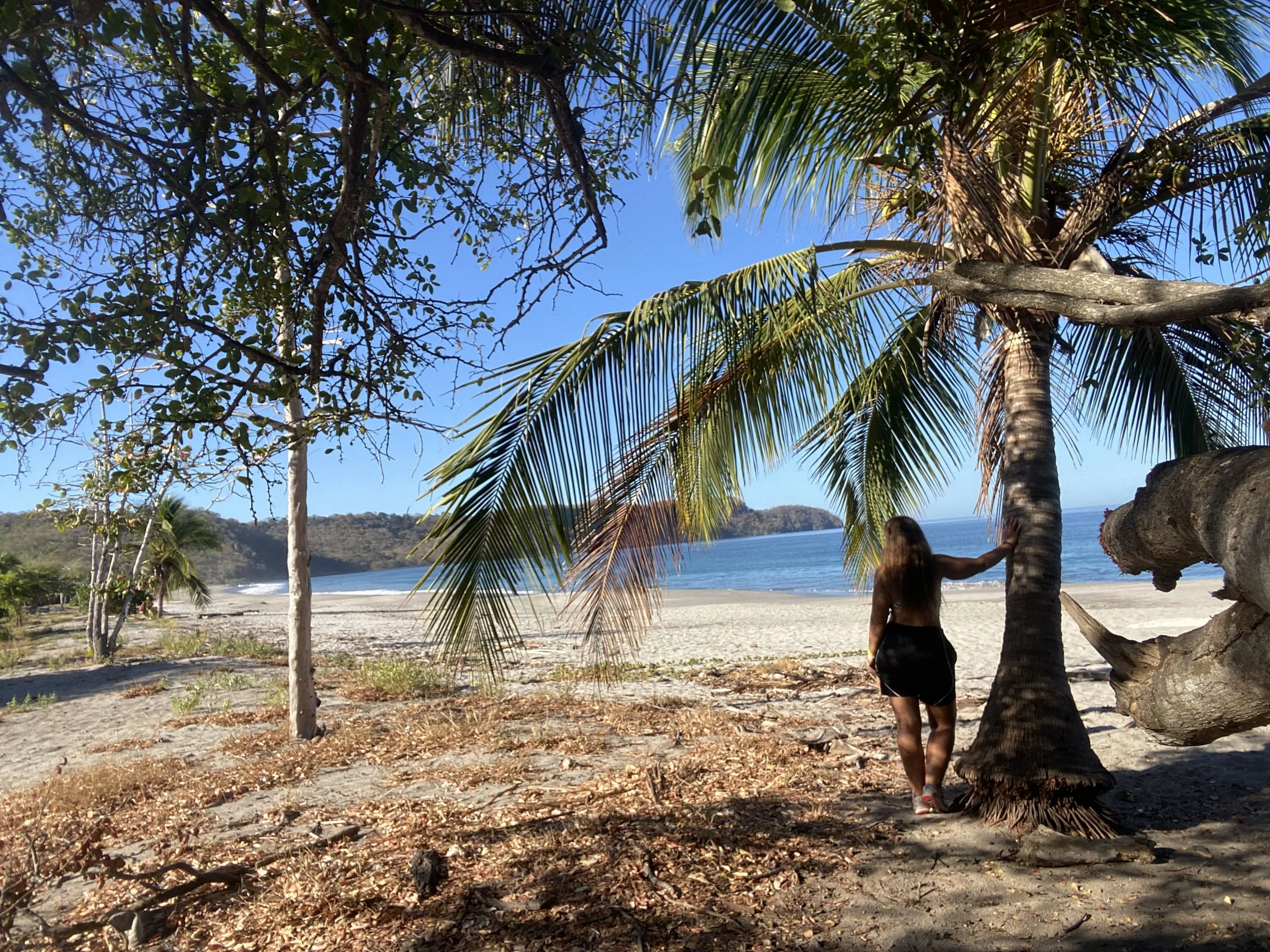 How to Volunteer with Sea Turtles in Costa Rica