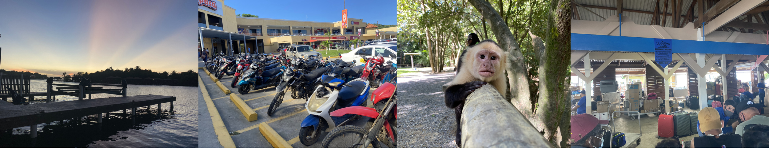 Collage of travel moments in Honduras including sunset dock, motorbikes, monkey encounter, and busy ferry terminal