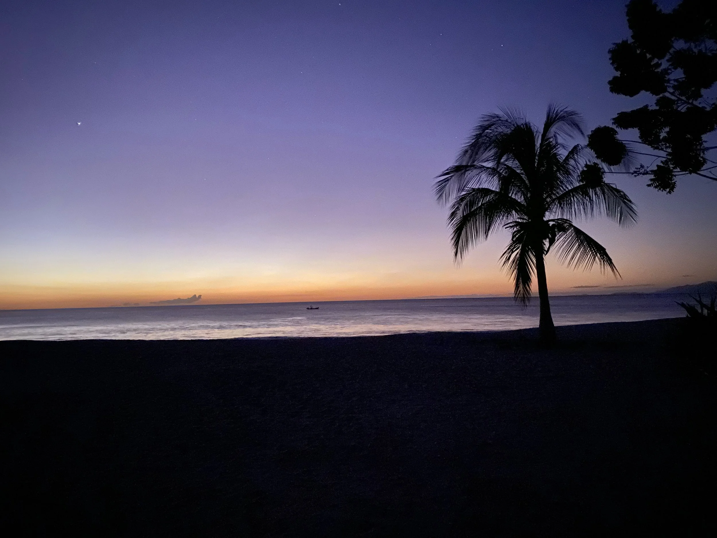 Playa Cabuyal at dusk with a silhouetted palm tree, calm Pacific Ocean, and purple and orange sky in Costa Rica.