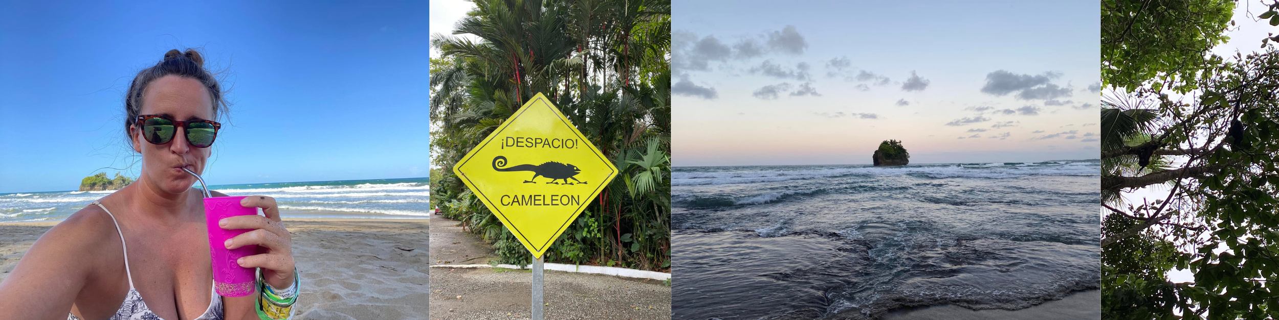 Four-photo collage showing a woman drinking from a pink cup on the beach, a yellow chameleon-crossing sign, waves surrounding a small rocky island, and monkeys in the trees.