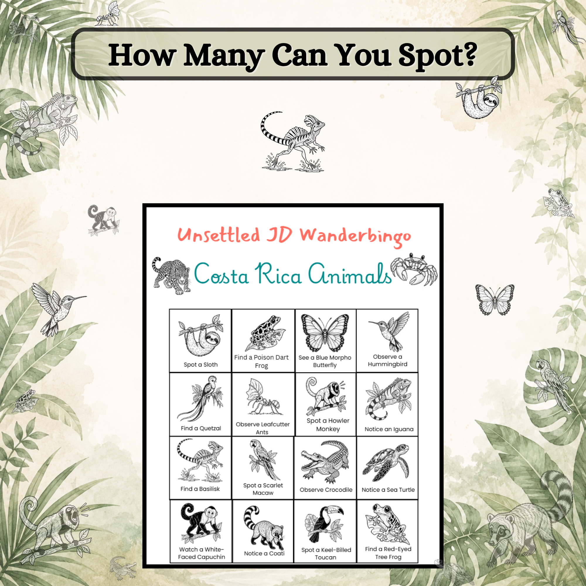 2- How many can you spot.png