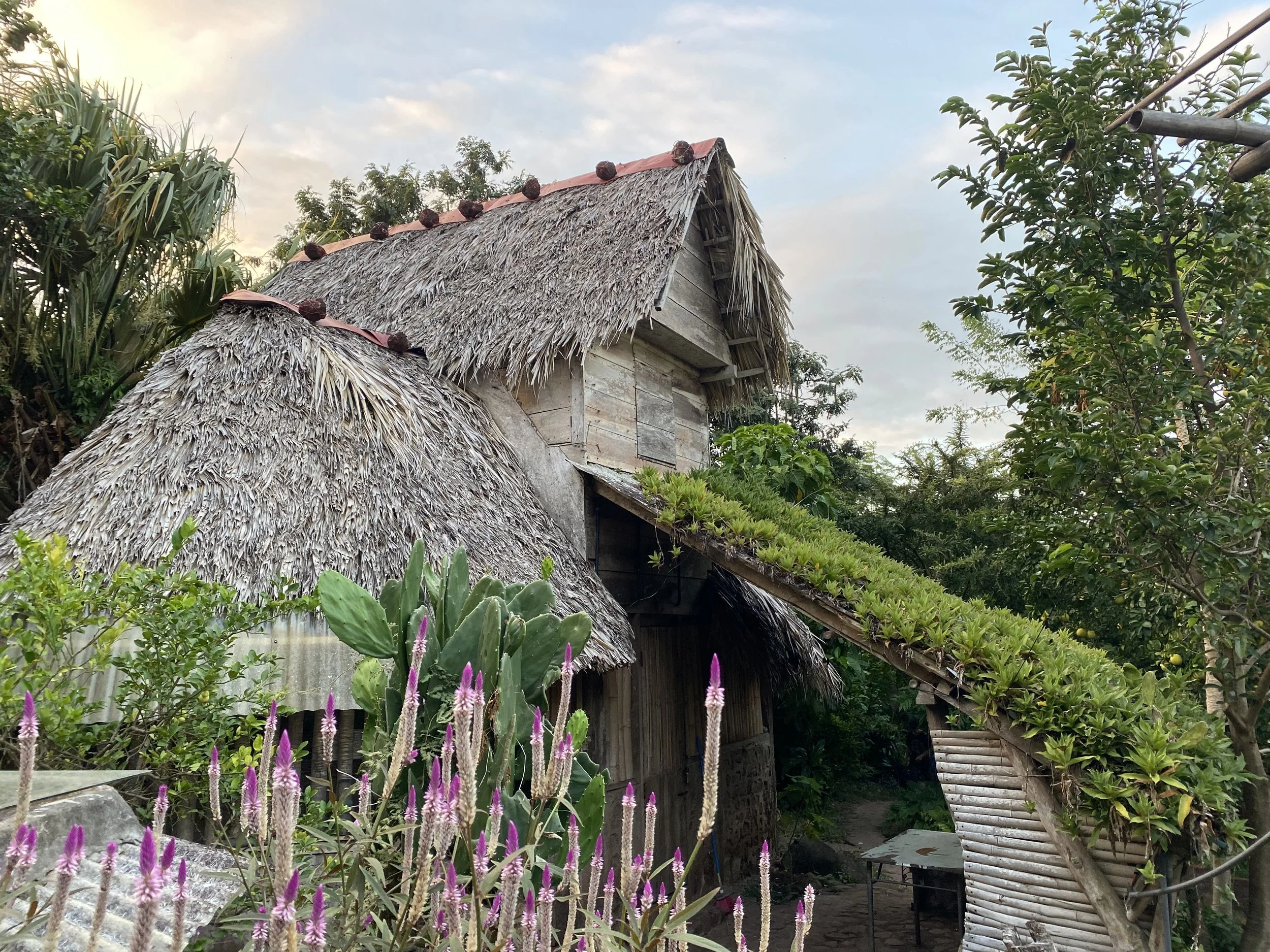 Eco hostel in Ometepe, Nicaragua with thatched roofs, jungle surroundings, and sustainable off-grid design