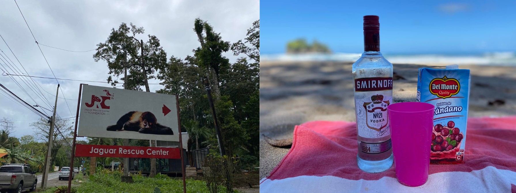 Two-photo collage showing a Jaguar Rescue Center roadside sign and a bottle of vodka, cranberry juice, and a pink cup arranged on a towel at the beach.