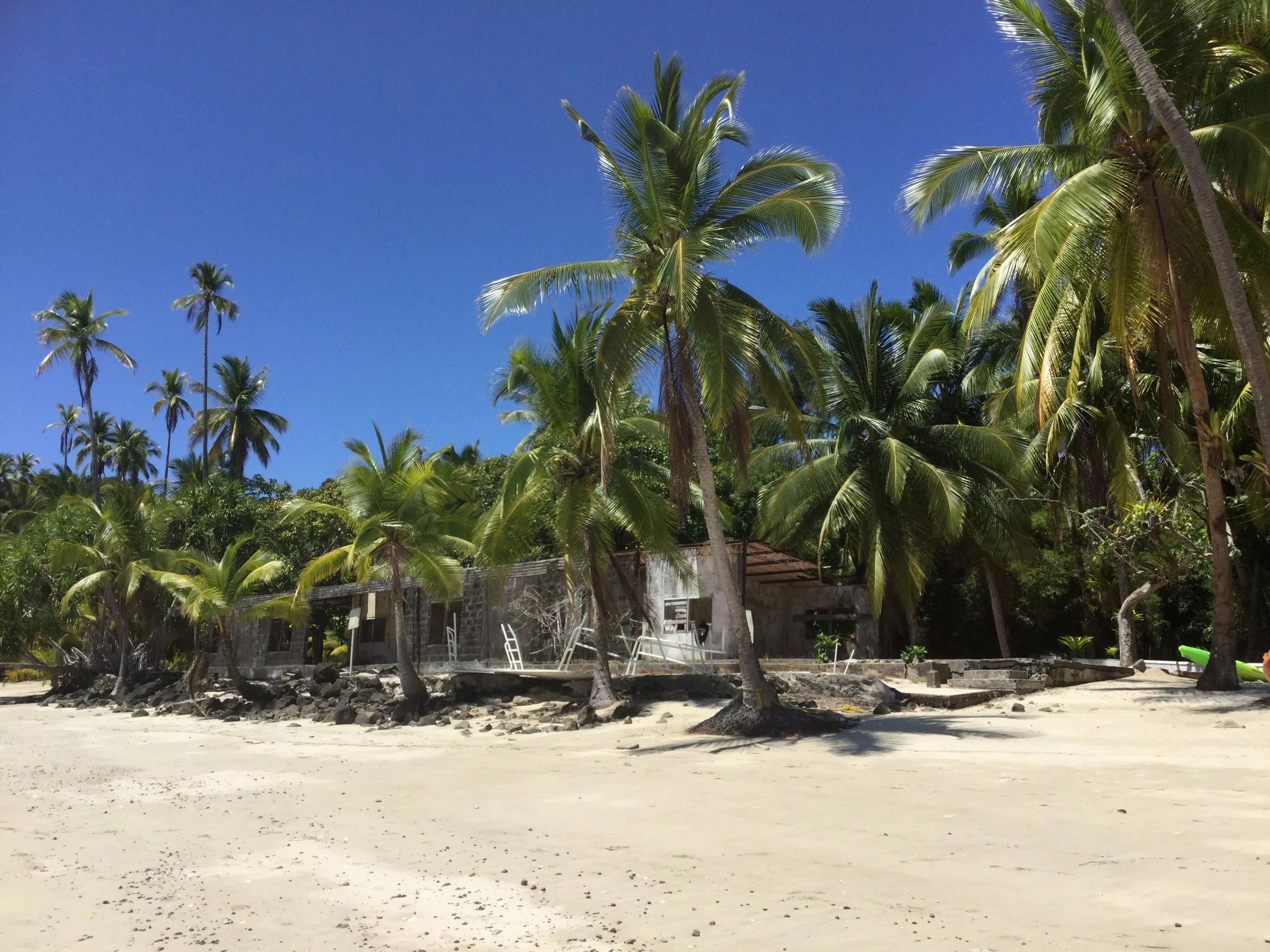 Quiet sandy beach lined with tall palm trees and a small building beneath a clear blue sky.