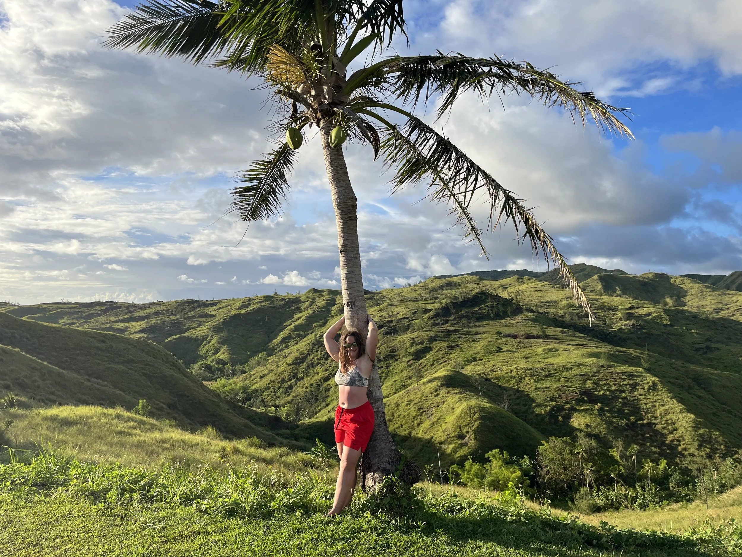 lone coconut tree with rolling green hills in guam