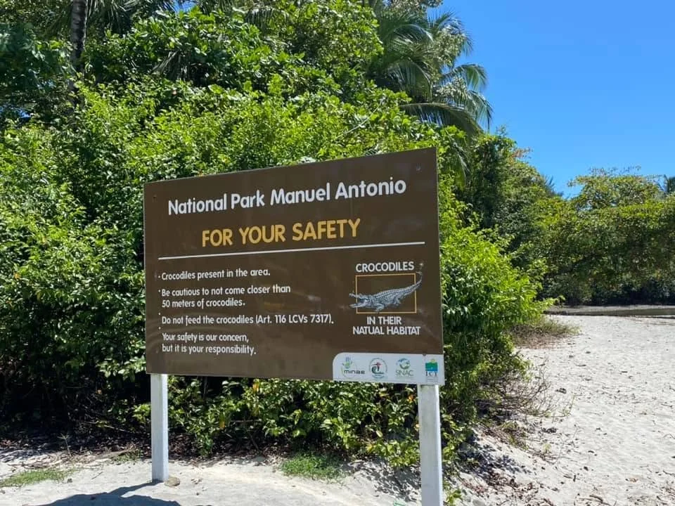 Crocodile safety warning sign surrounded by tropical rainforest in Manuel Antonio National Park, Costa Rica.