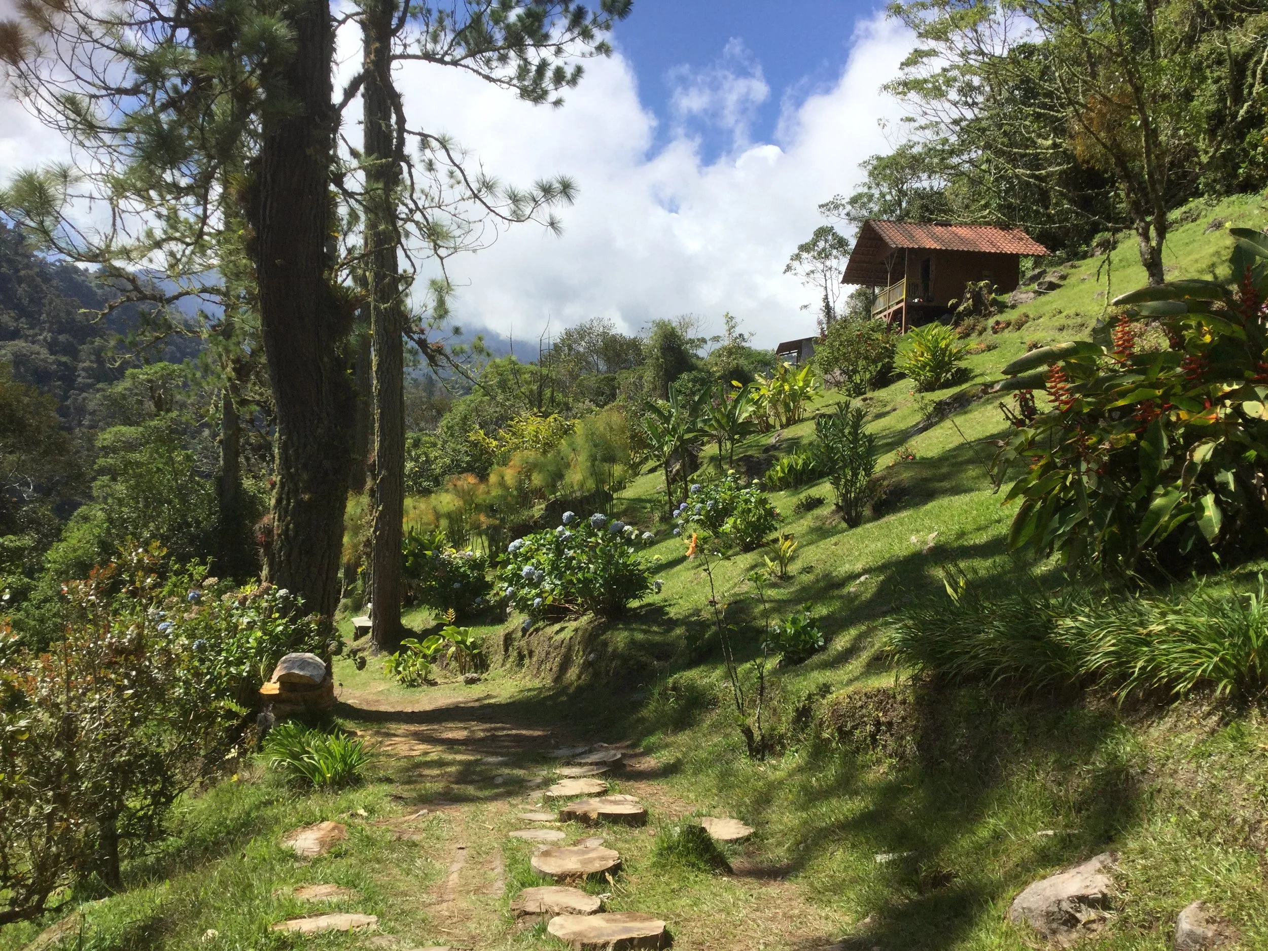 A quiet path through a lush hillside garden with tall trees, colourful flowers and a small cabin in Boquete, Panama.