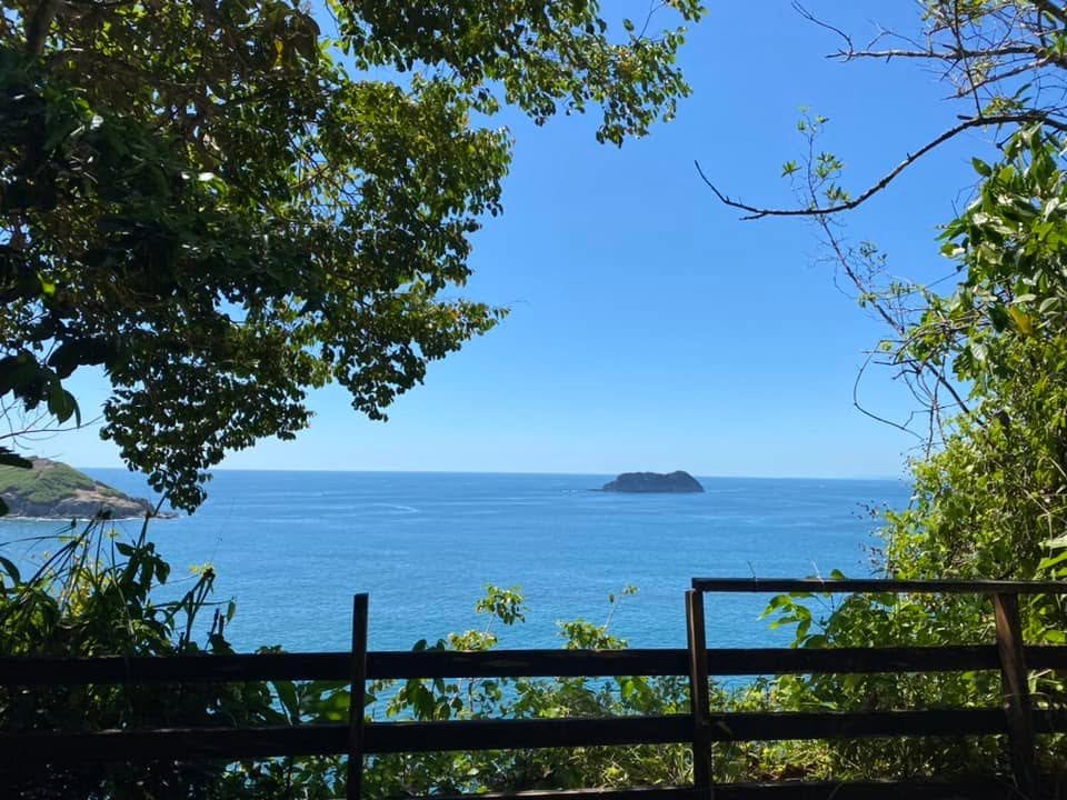 Blue Pacific Ocean and a small rocky island viewed through tropical trees from a lookout in Manuel Antonio National Park, Costa Rica.
