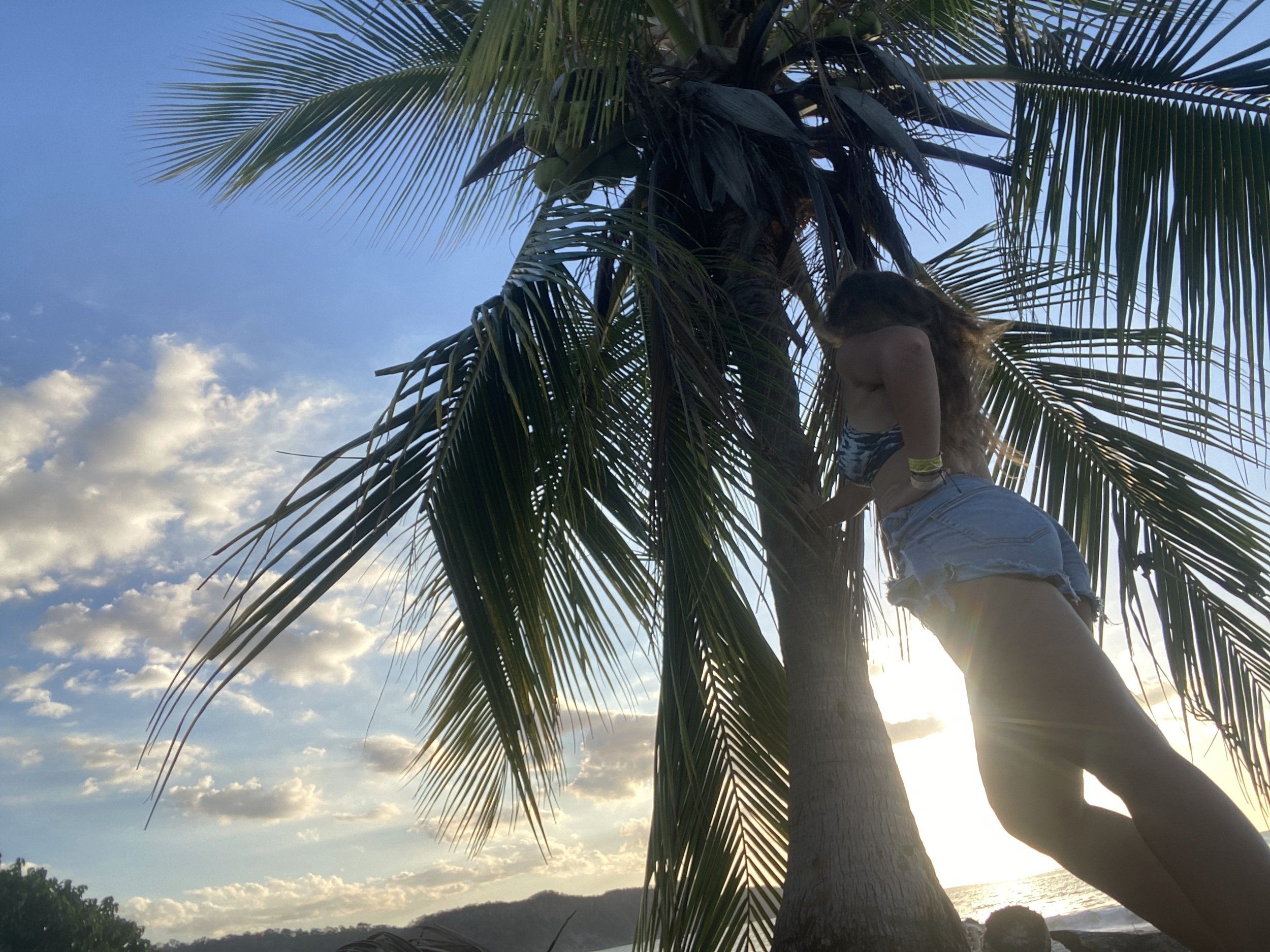 Woman relaxing by palm tree on beach in Costa Rica during sunset while volunteering with sea turtle conservation
