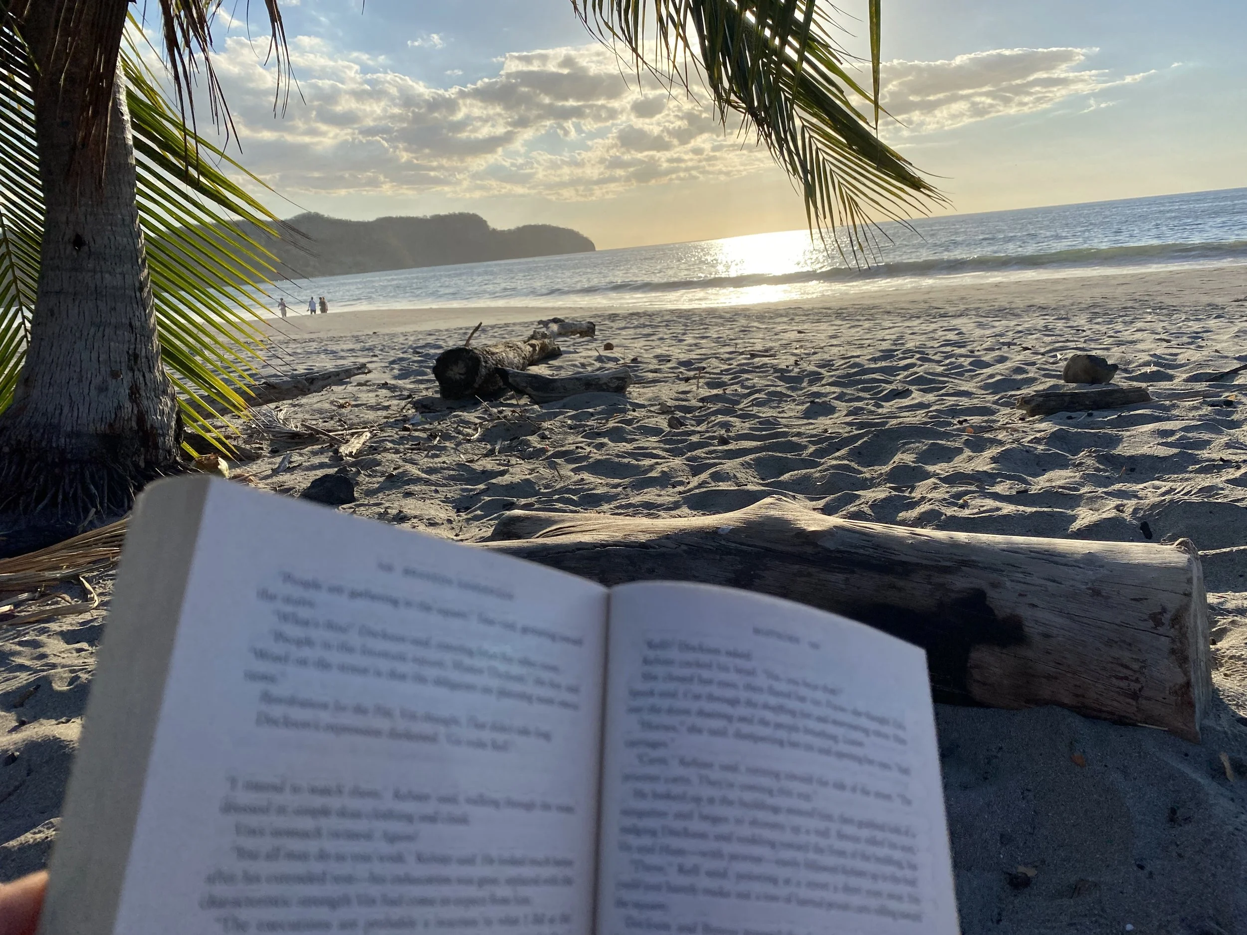 Open book being read on a quiet sandy beach at Playa Cabuyal, Costa Rica, with palm trees, driftwood and the ocean in the background.