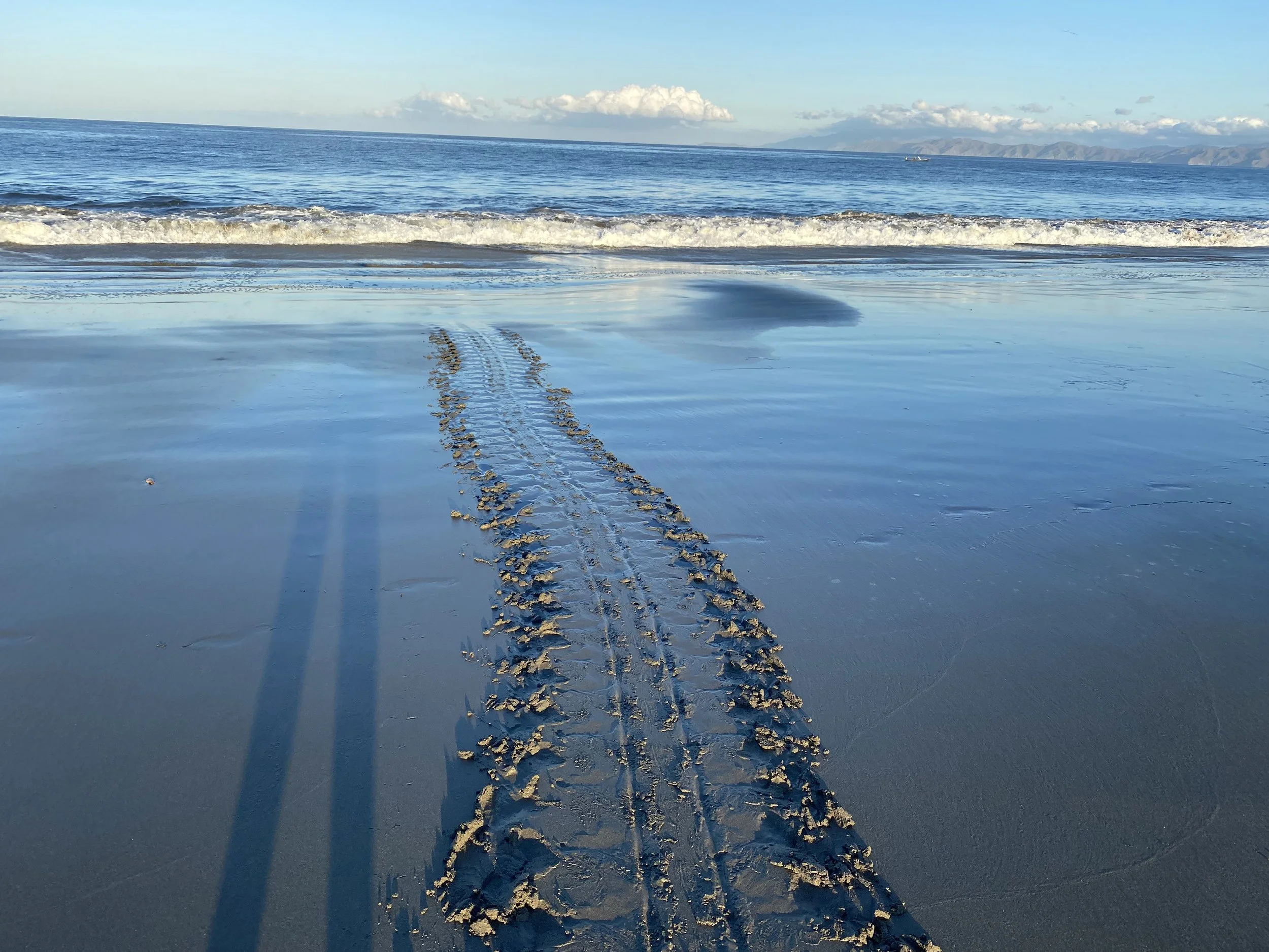 Sea turtle tracks crossing wet sand and leading into the Pacific Ocean at Playa Cabuyal, Costa Rica.