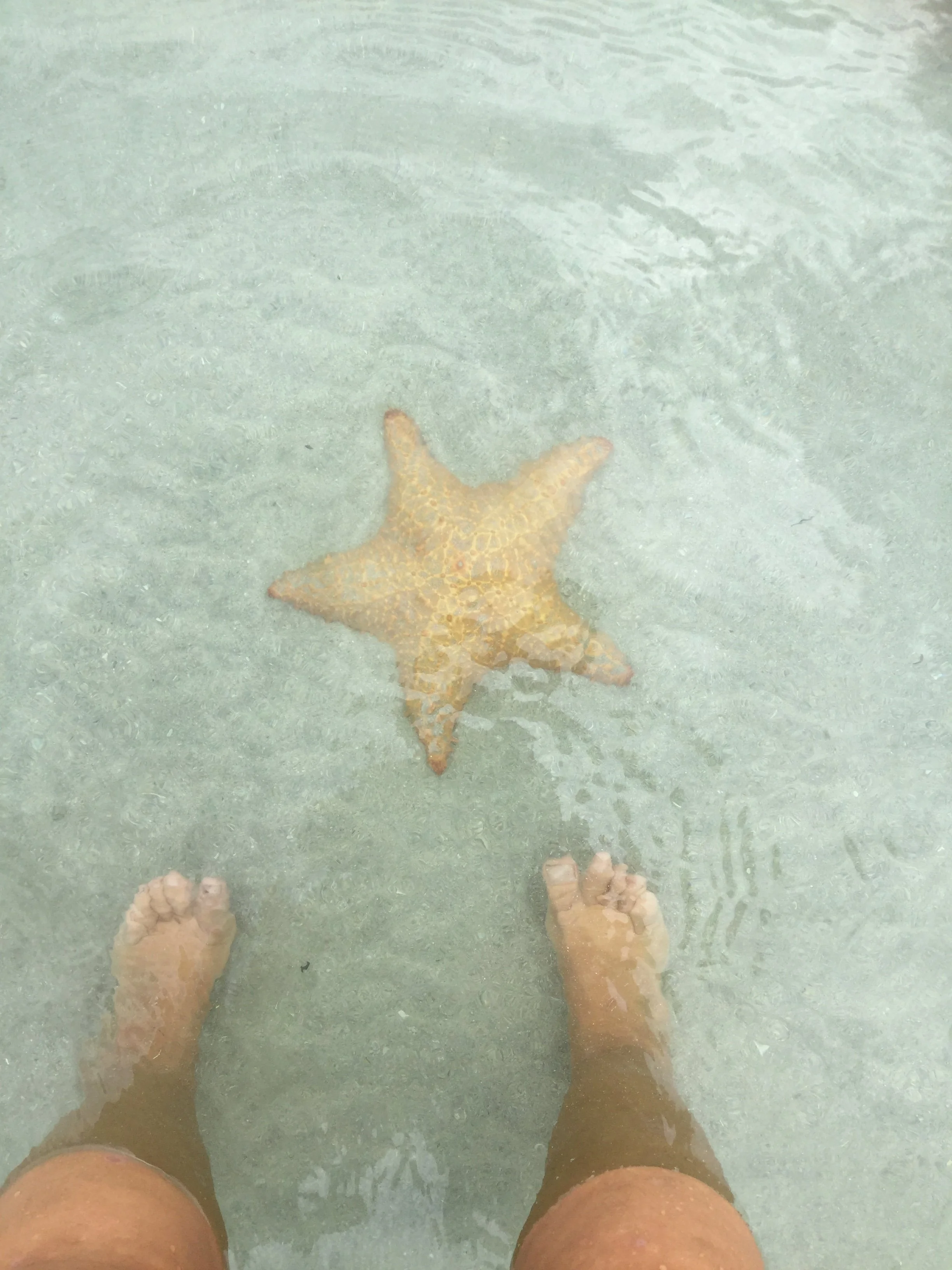 Orange starfish underwater beside a traveller’s feet at Starfish Beach in Bocas del Toro, Panama.