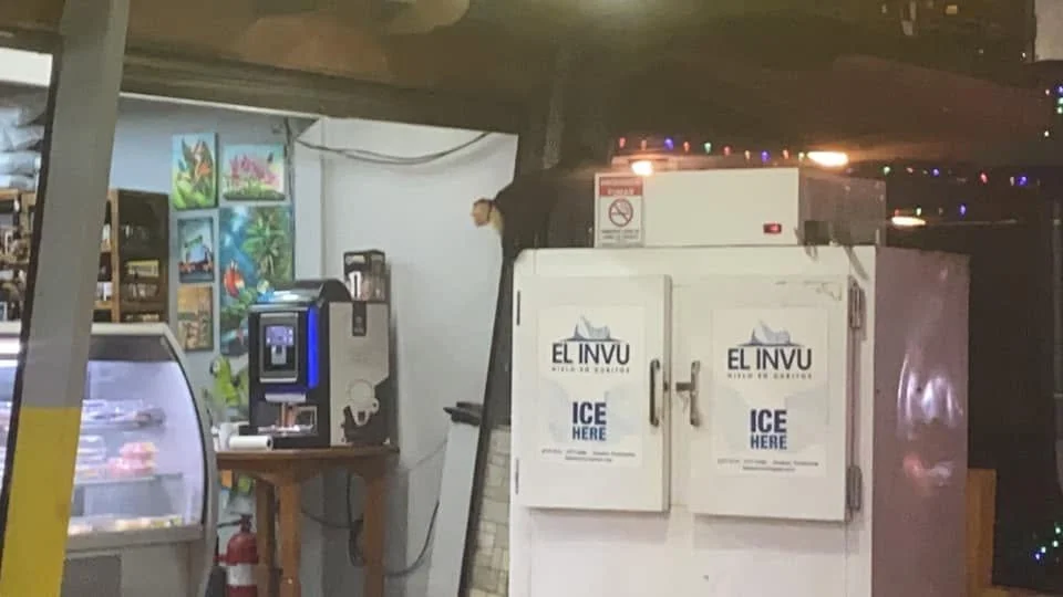 White ice machine decorated with a black monkey silhouette inside a shop in Manuel Antonio, Costa Rica.