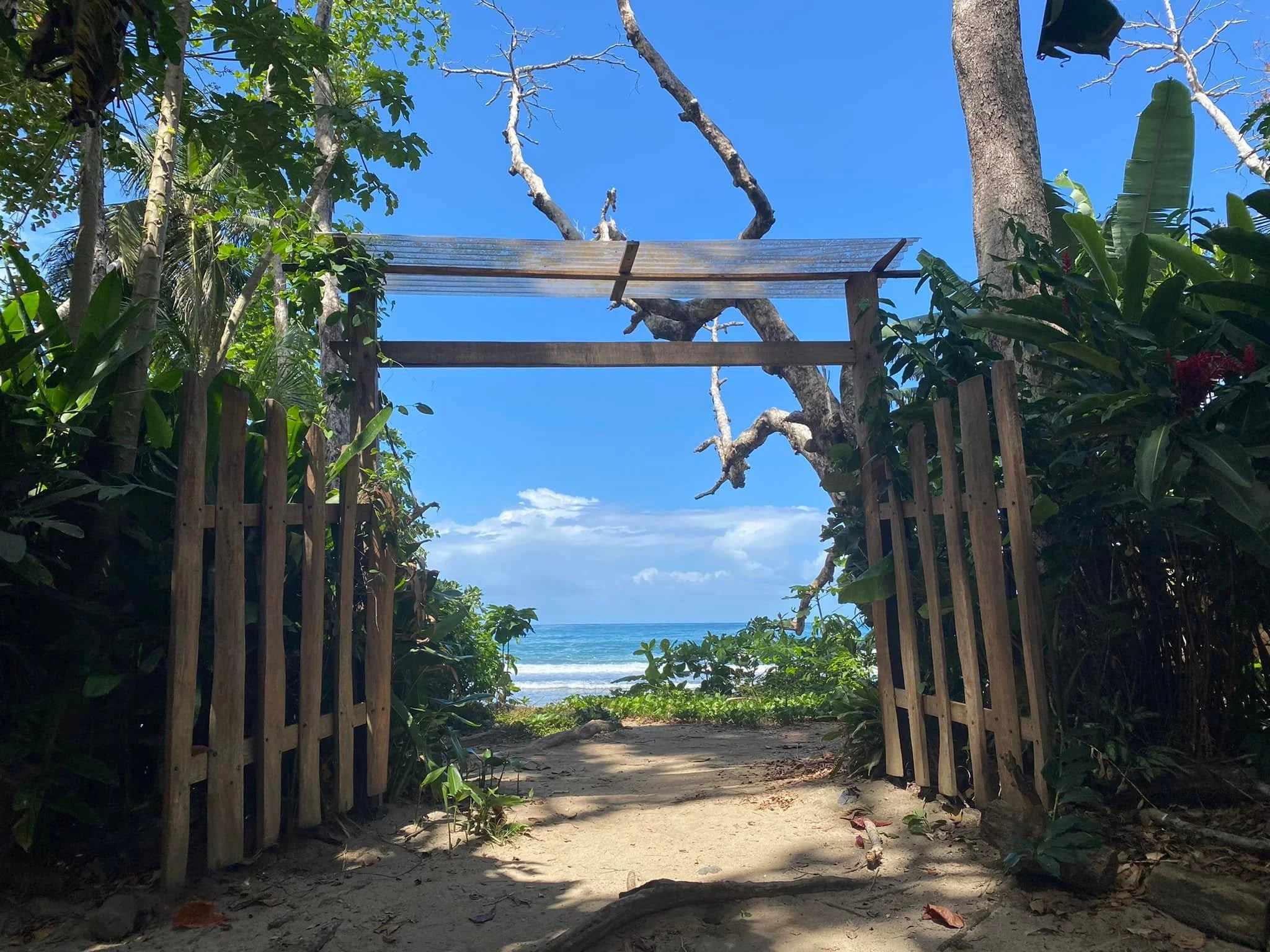 Sandy entrance from a beachfront hostel leading through a wooden gateway and tropical plants to the Caribbean Sea.