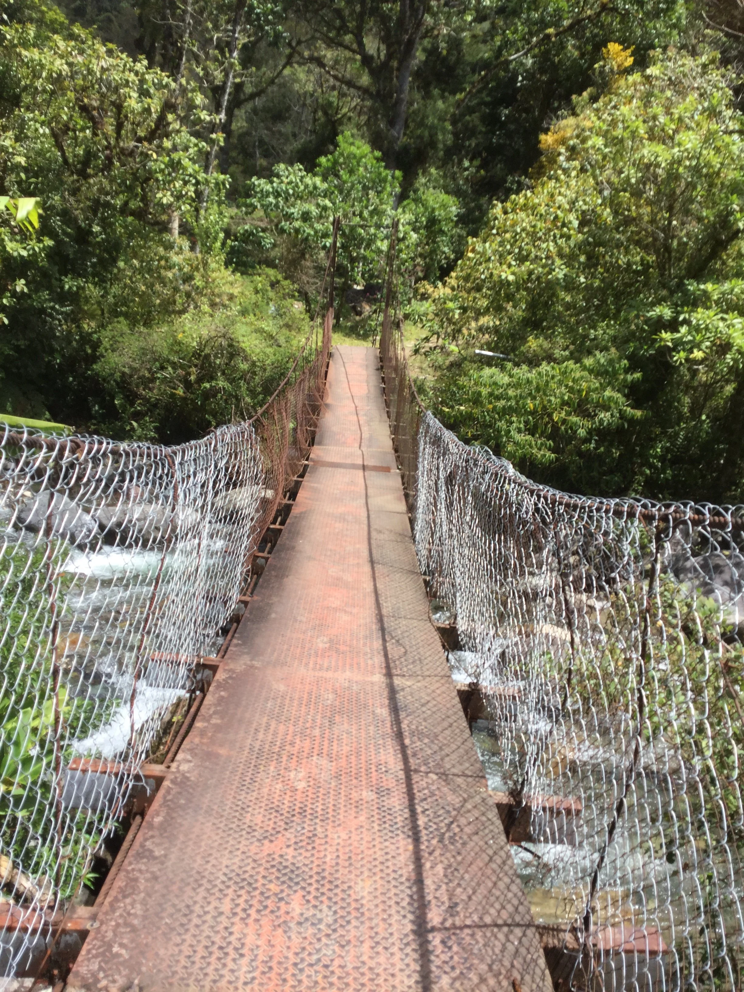 Narrow metal suspension bridge crossing a rocky river on the Lost Waterfalls Trail near Boquete, Panama.