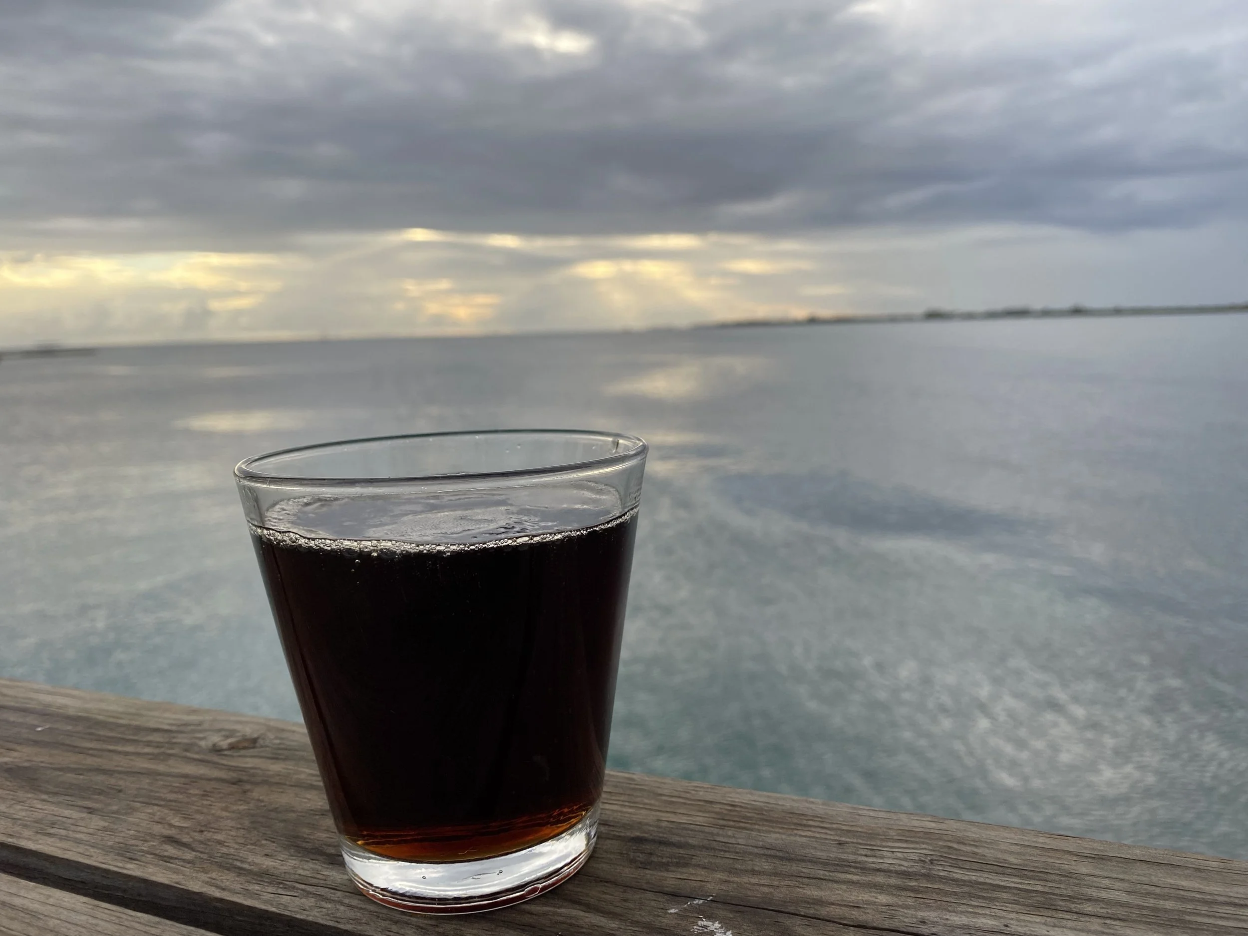Woman wearing a face mask on the top deck of the ferry leaving mainland Honduras for Utila, with boats and mountains behind her.