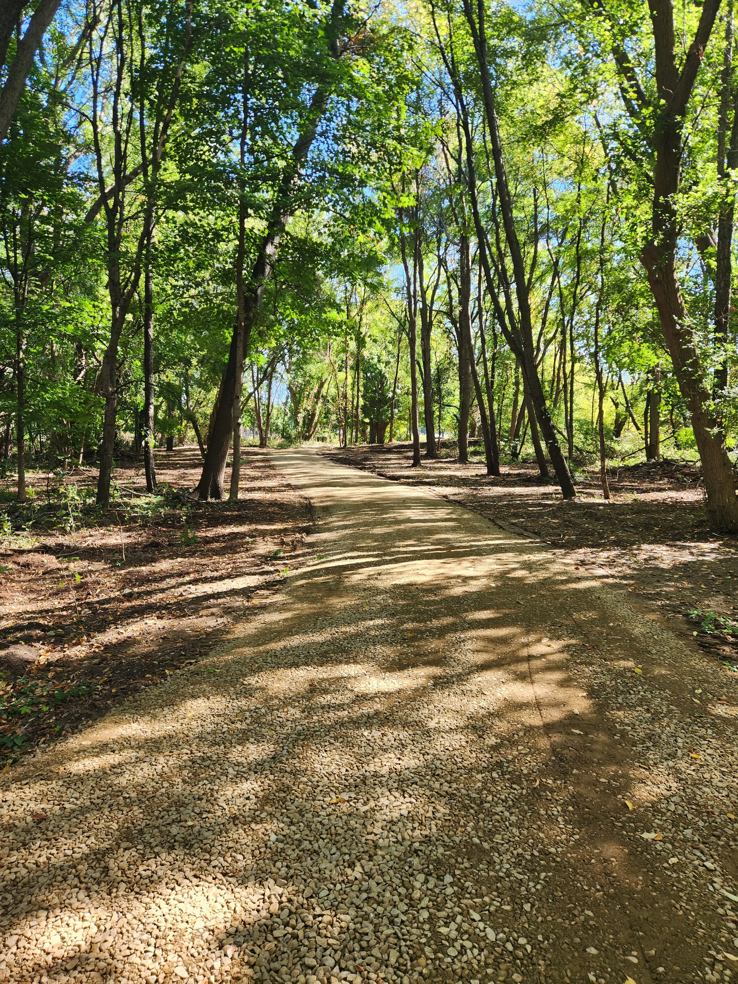 Cemetery grounds with headstones and fall trees