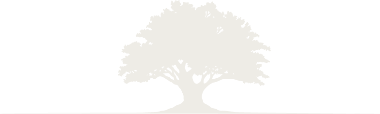 Tree silhouette with spreading branches