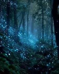 Quando Dois Mundos se Encontram: A Profunda Conexão entre Eldred Esmond Eidil e a Floresta de Waipoua