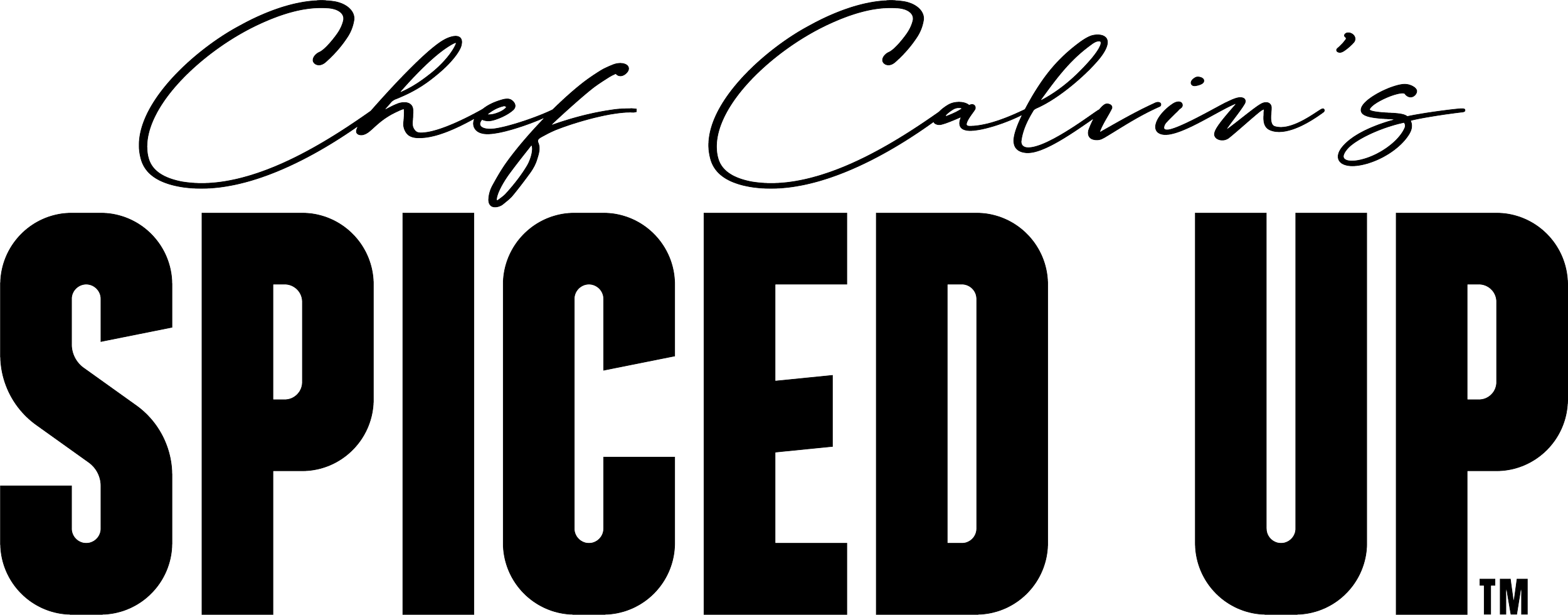 spiced up logo black.png