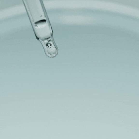 4.gif