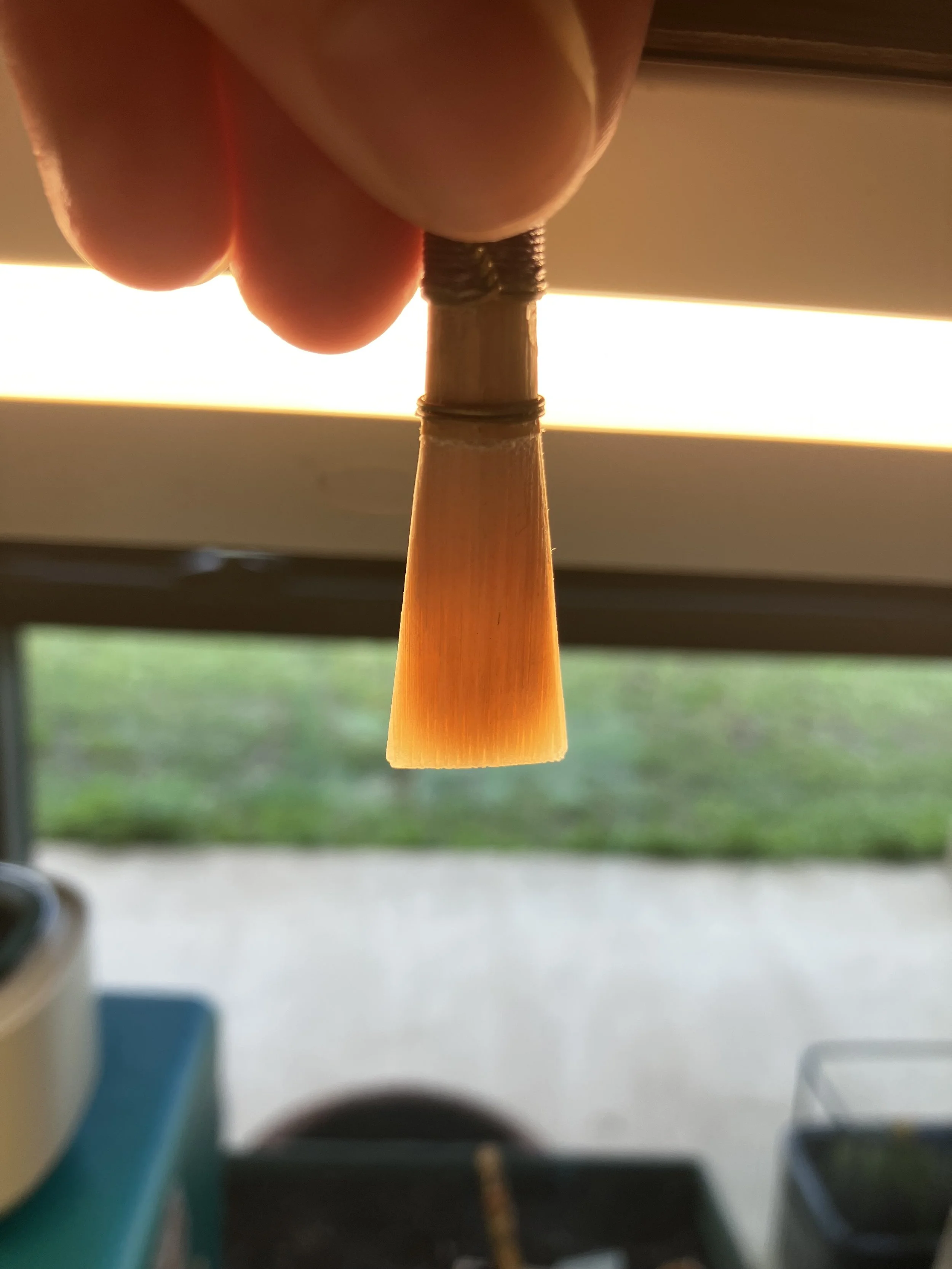 Studio Bassoon Reed – For Current Students Only