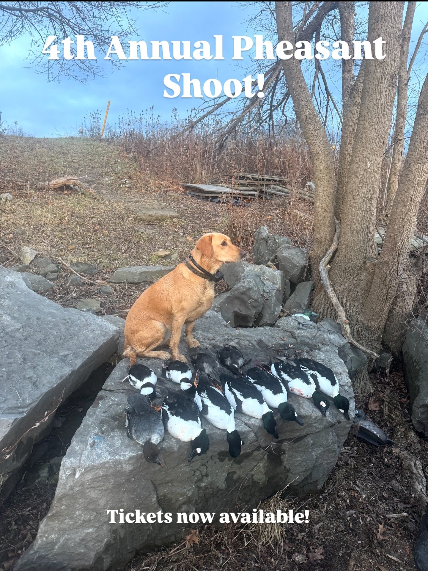 🦃🔥 4th Annual Firefighters &amp; Friends Pheasant Tower Shoot 🔥🦃

📅 March 21, 2026
⏰ 8 AM &ndash; 1 PM
📍 Honey Hill Hunting Preserve
💲 $150 per shooter

Join us for a great day of shooting, camaraderie, and supporting the fire service. Spots a